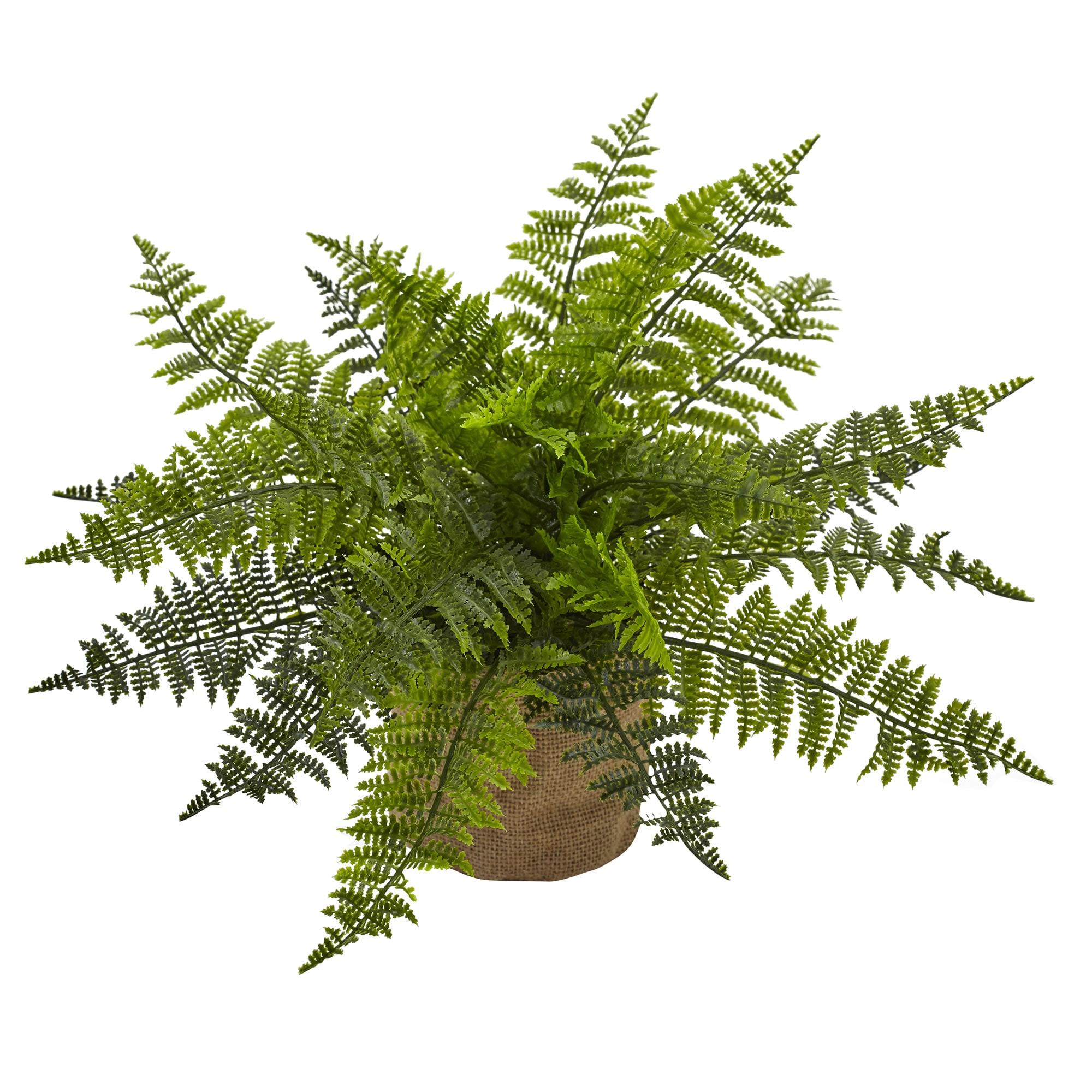 Set of 2 Green Faux Ferns in Burlap Pots