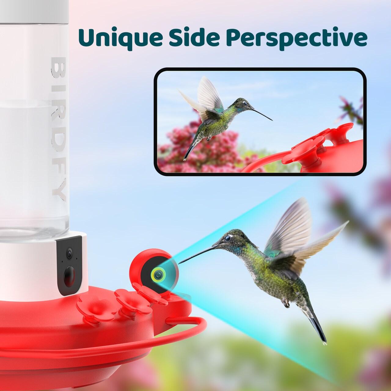 Birdfy NETVUE Birdfy Hummingbird Feeder with 2 Cameras Solar Powered - Dual Smart Cams, 2K HD Wireless for 2 Angels Close-up Bird Watching Outdoor, Instant Notifications (20Oz) (Hum Duo AI Solar)