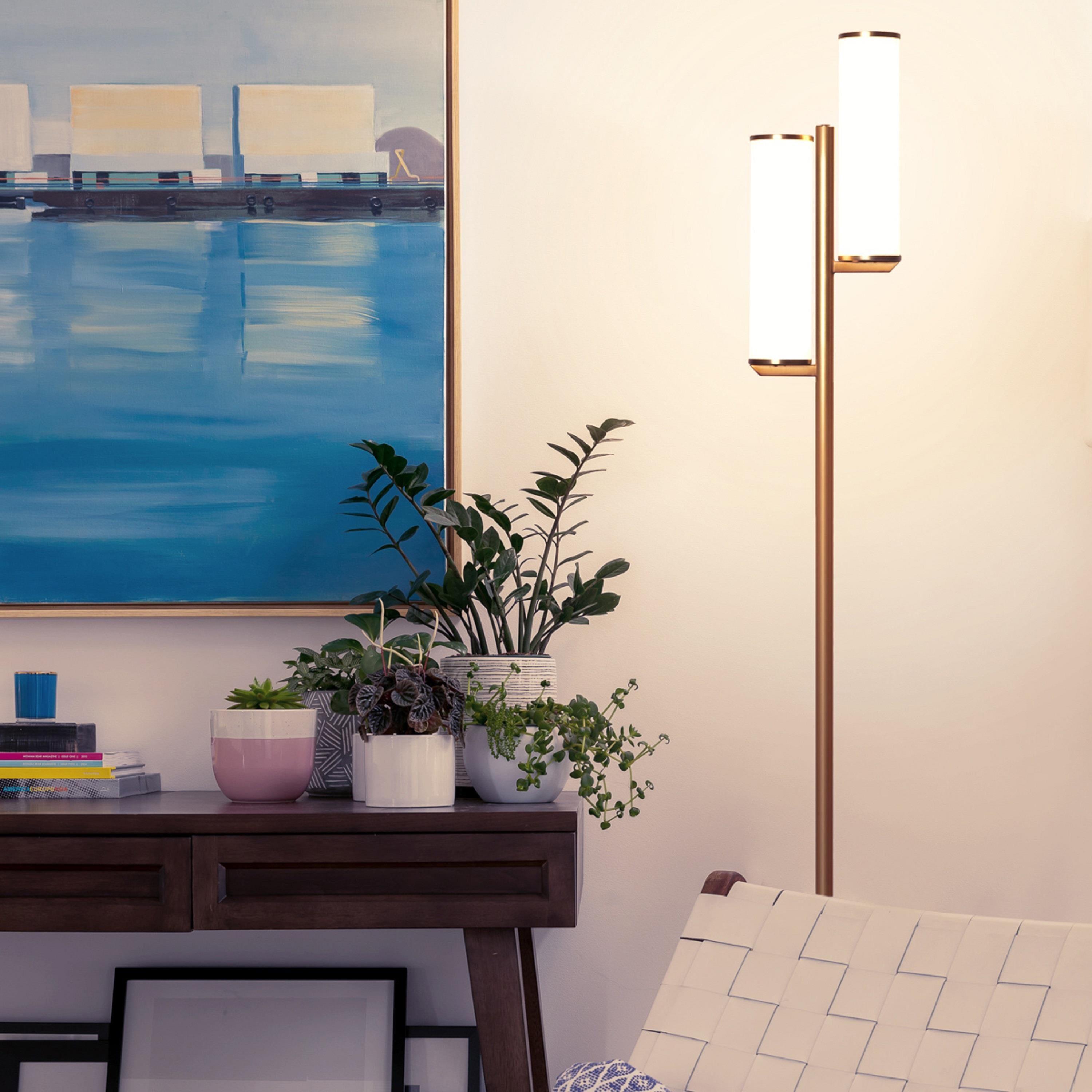 Brightech Gemini 64 in. Industrial 2-Light 3-Way Dimming LED Floor Lamp with 2 Glass Cylinder Shades
