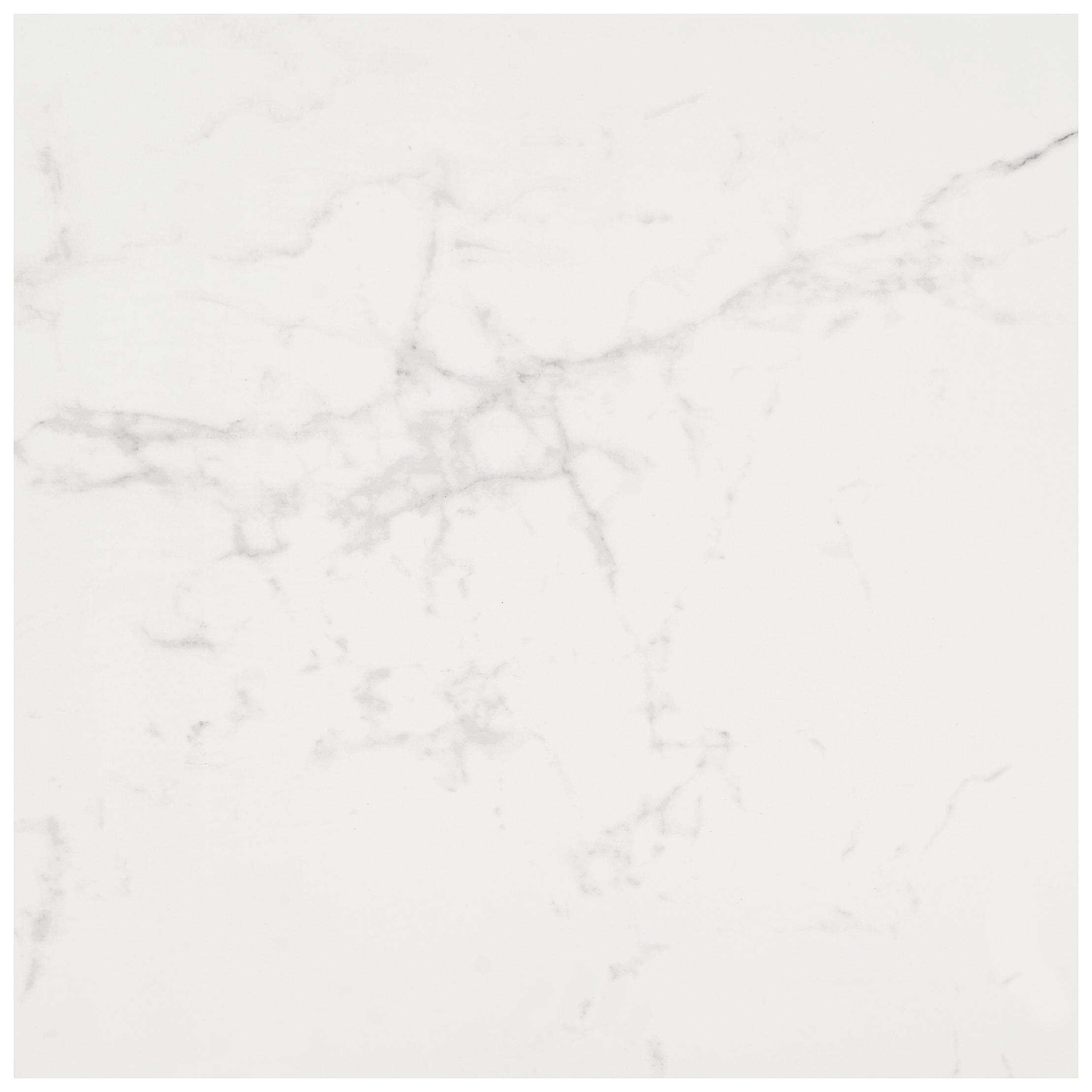 24" x 24" Polished Marble Look Porcelain Floor and Wall Tile (15.5 Sq. Ft. / Case)