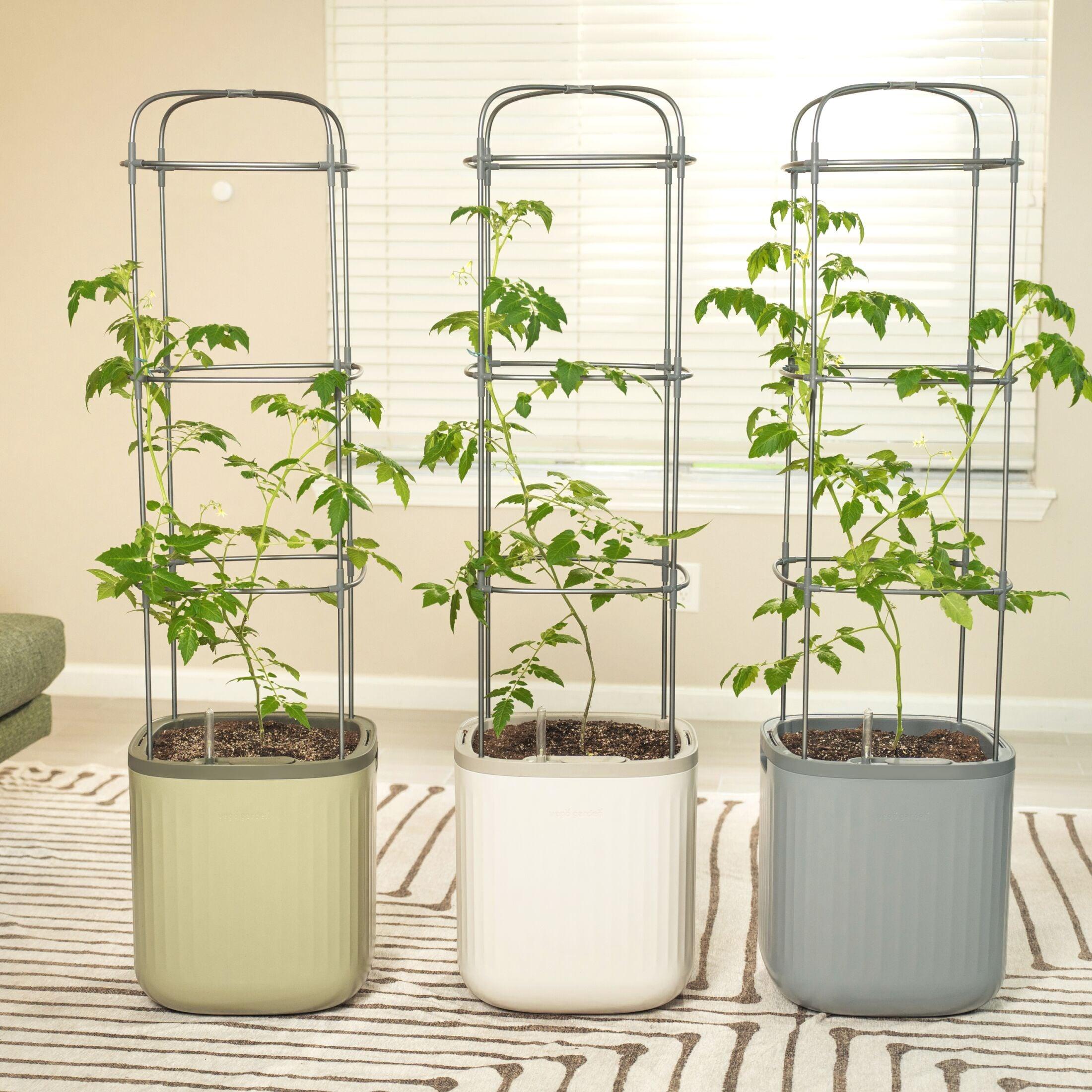 Vego Garden Mini Tomato Plastic Outdoor Pot Planter with Trellis