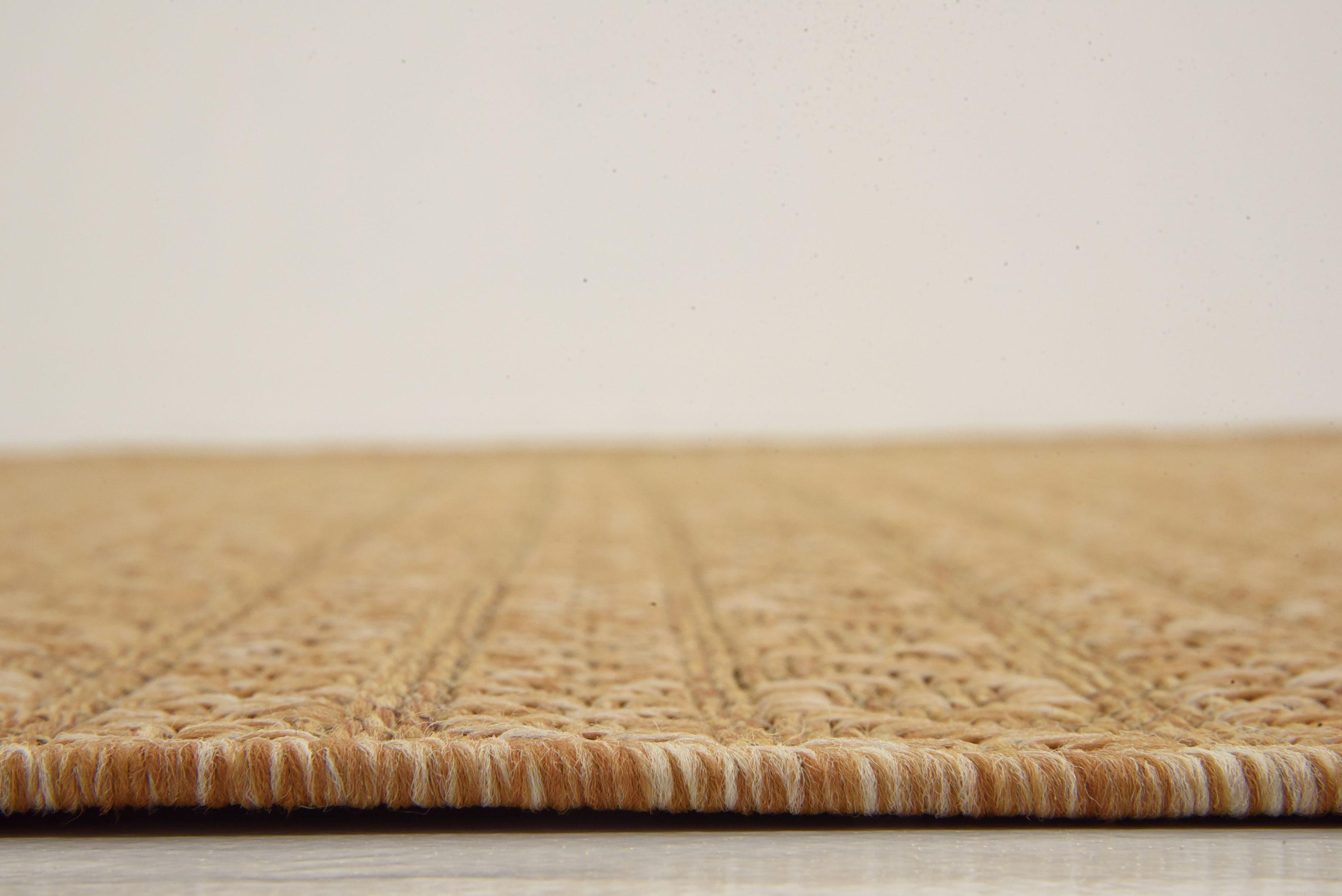 Light Brown Flat Woven Synthetic Outdoor Area Rug 7' x 10'