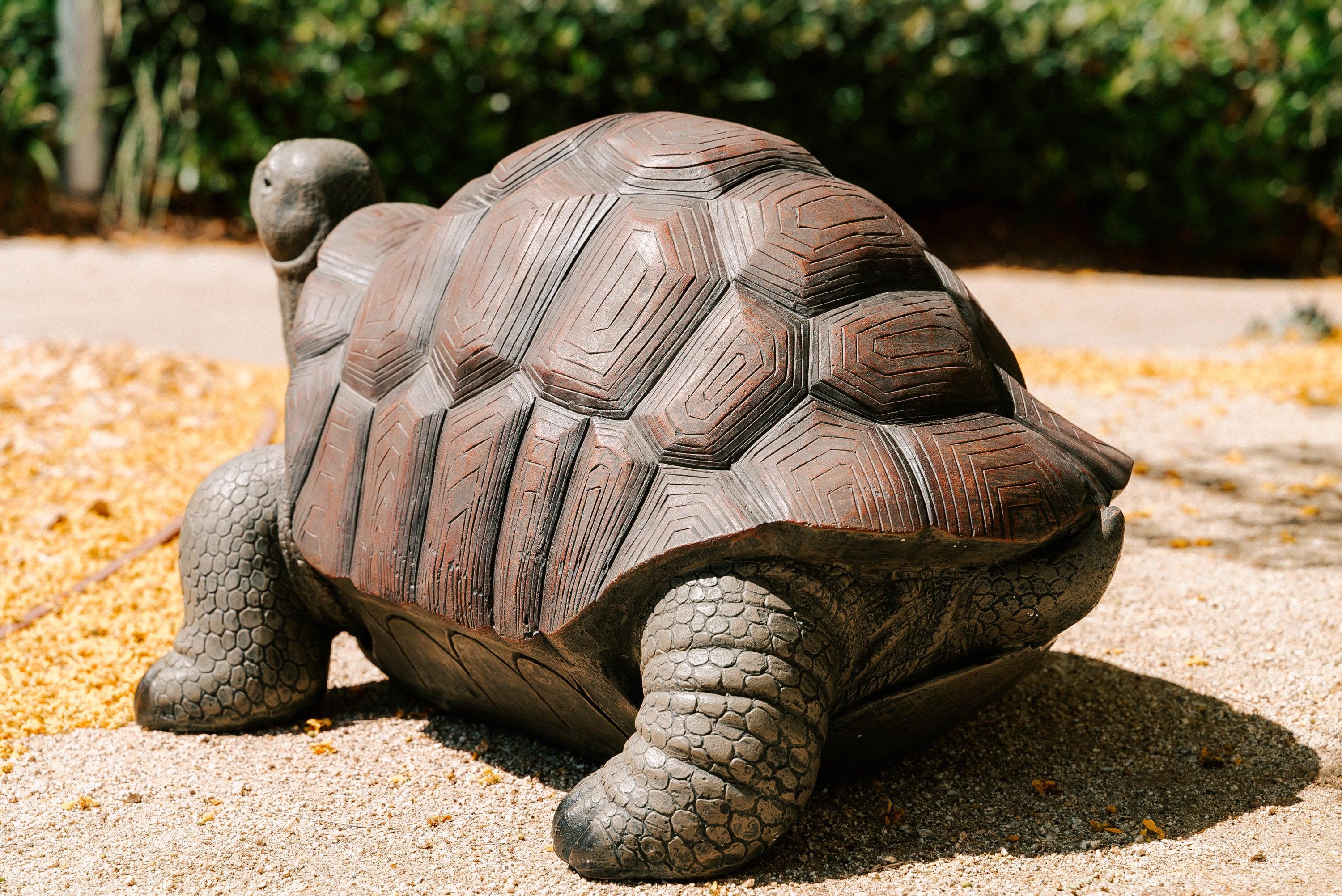 XBrand 28"L Brown and Black Concrete/MgO Walking Tortoise Statue, Indoor or Outdoor Décor, Garden Sculptures, Turtle Garden Statue