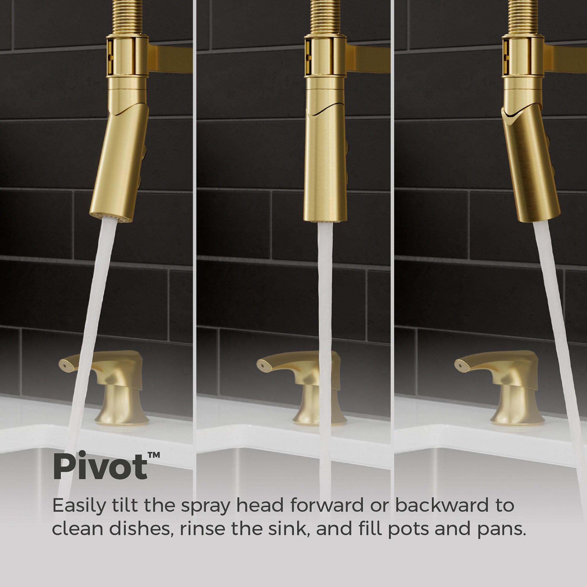 Ceylon Single Handle Culinary Pull Down Sprayer Kitchen Faucet in Brushed Gold
