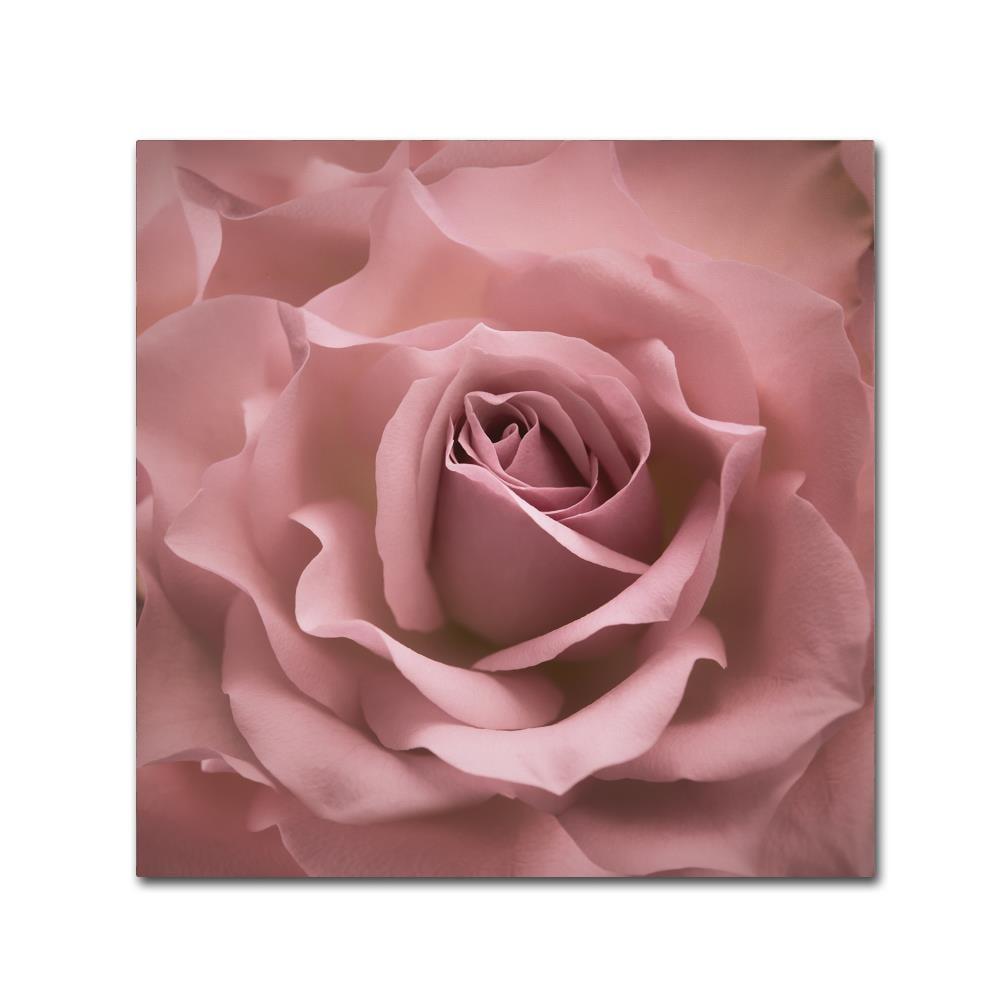 House of Hampton® " Misty Rose Pink Rose " by Cora Niele