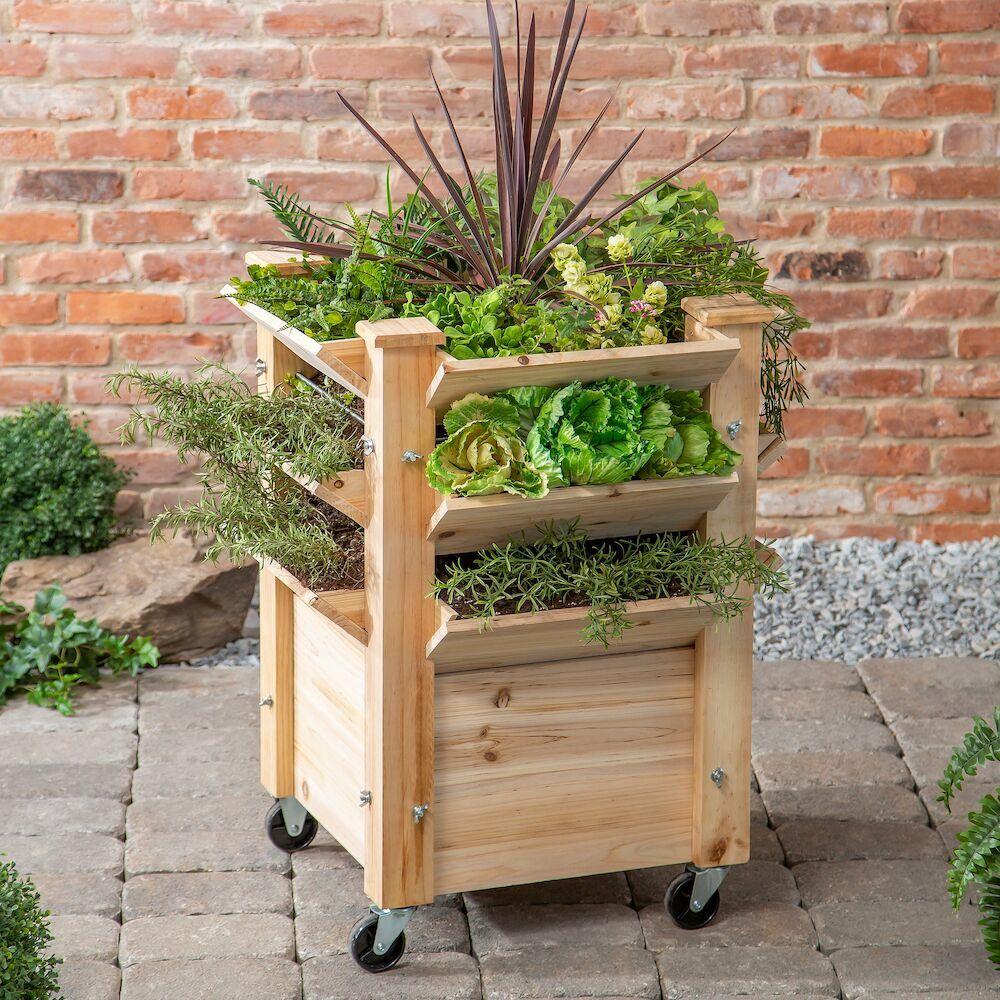 Extra Large Natural Wood Raised Garden Bed Planter with Wheels