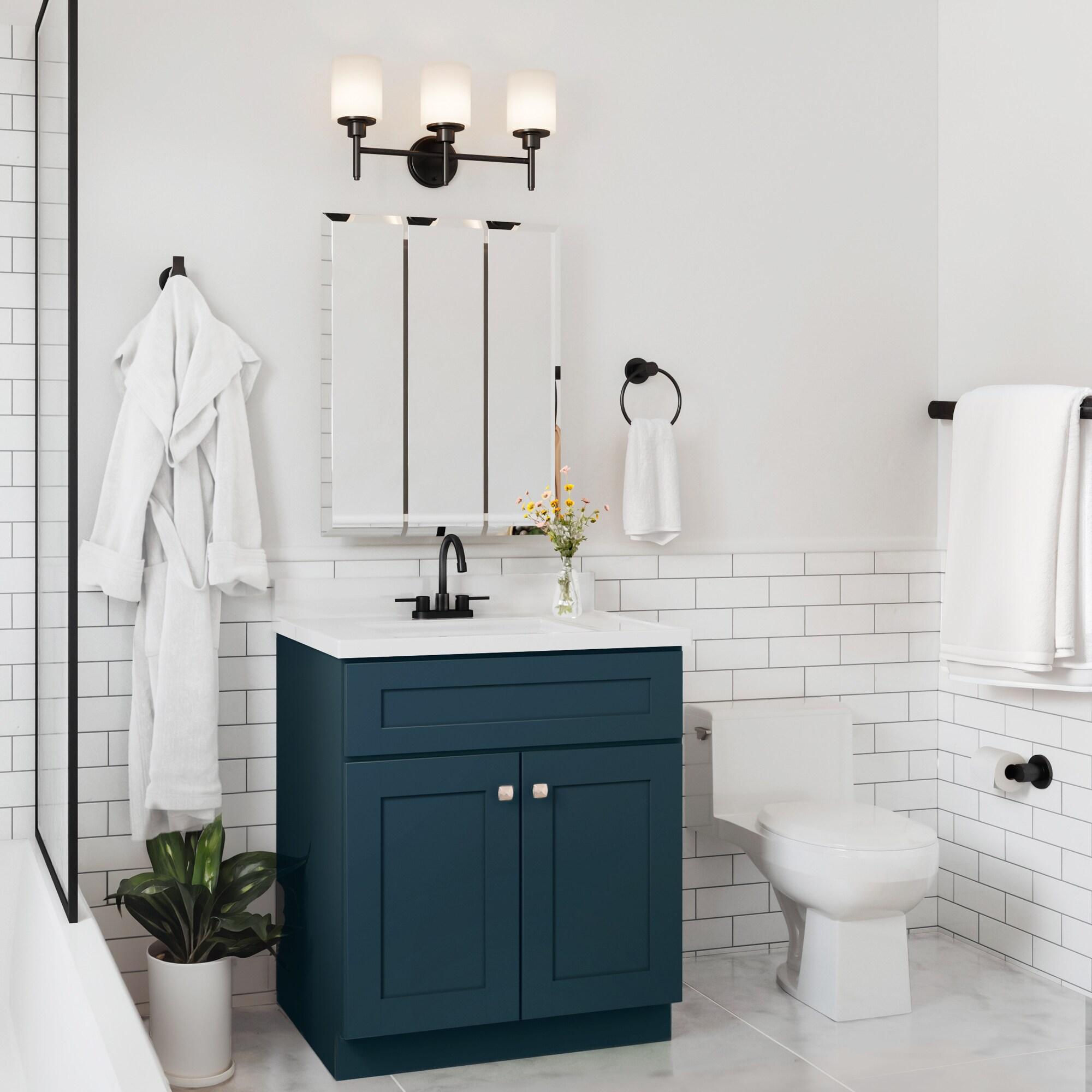 Design House Brookings 30 Inch Bath Vanity, Ready to Assemble, Sherwin Williams®