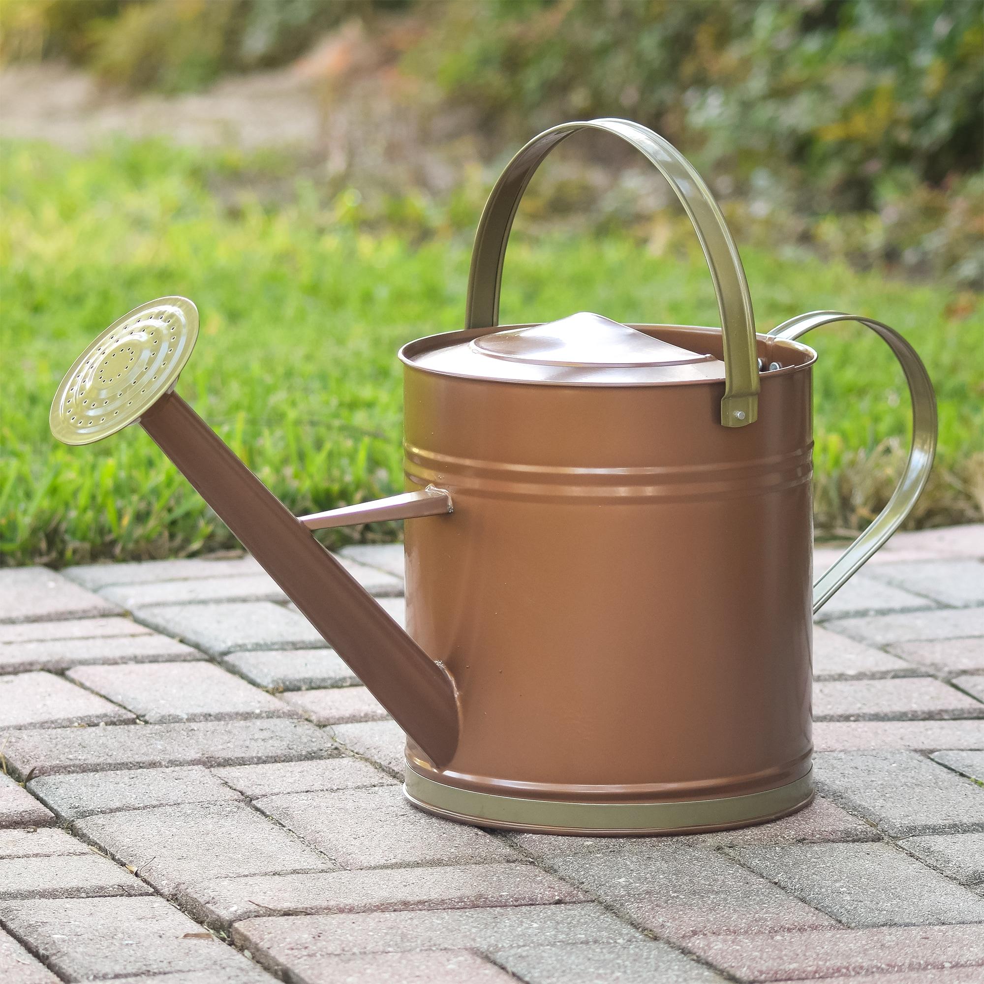 Classic Bronze Galvanized Metal Watering Can with Shower Wand