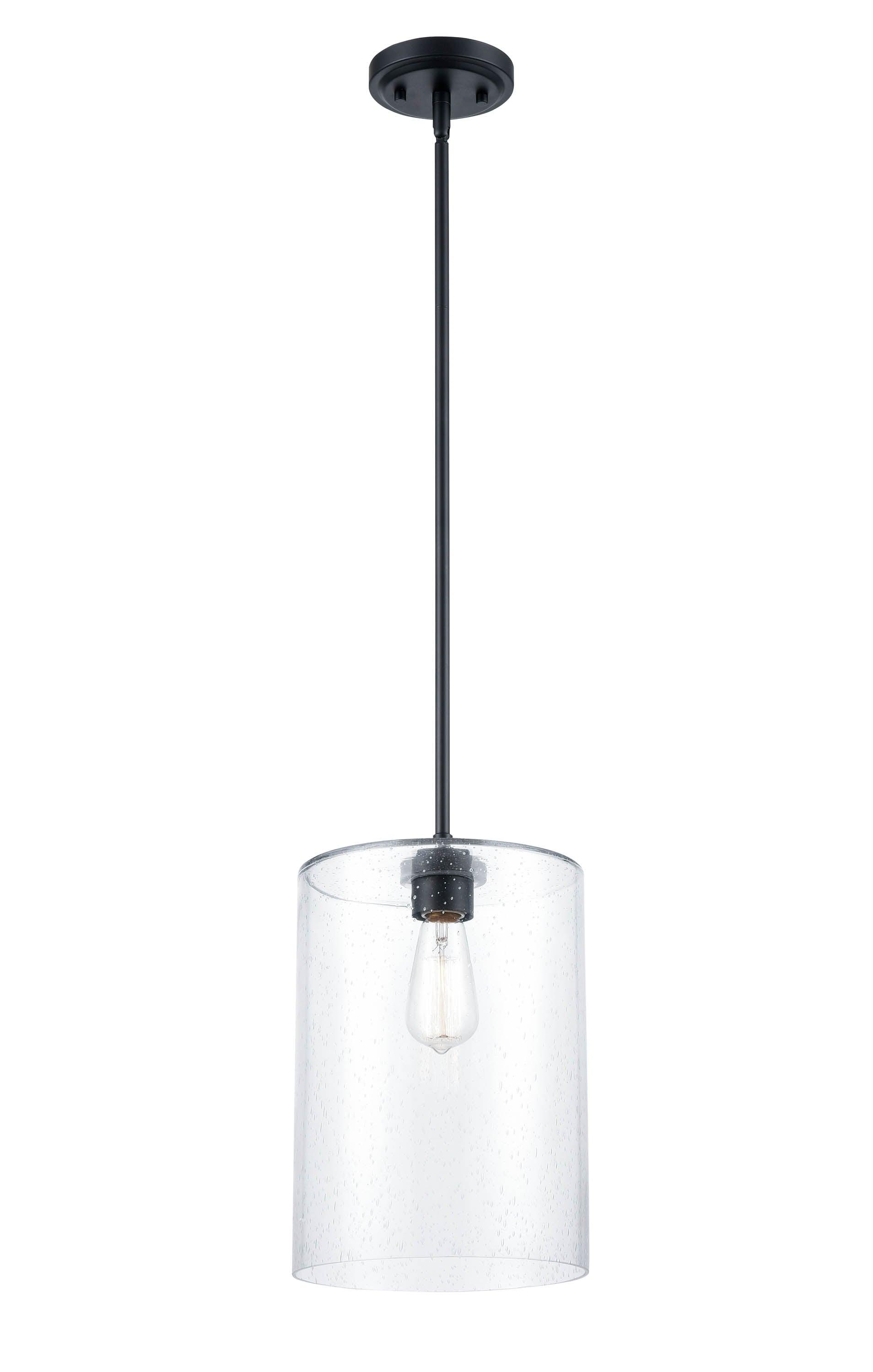 1 - Light Unique/Statement Pendant