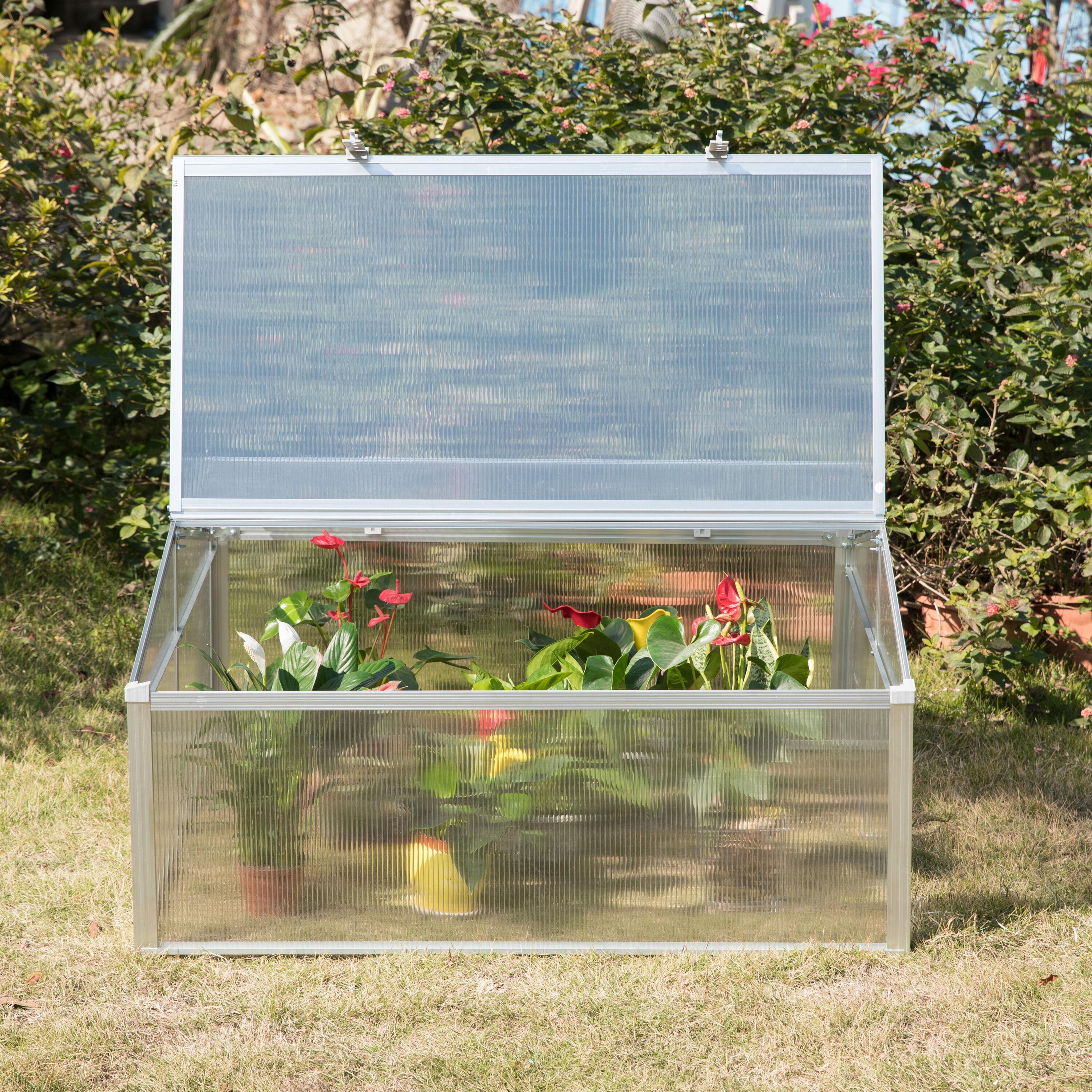 Gardenised 39.37" W x 39.37" D Mini Greenhouse