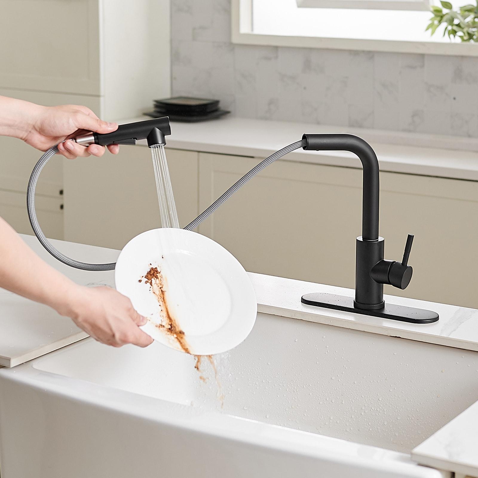 VIBRANTBATH Pull Out Kitchen Faucet