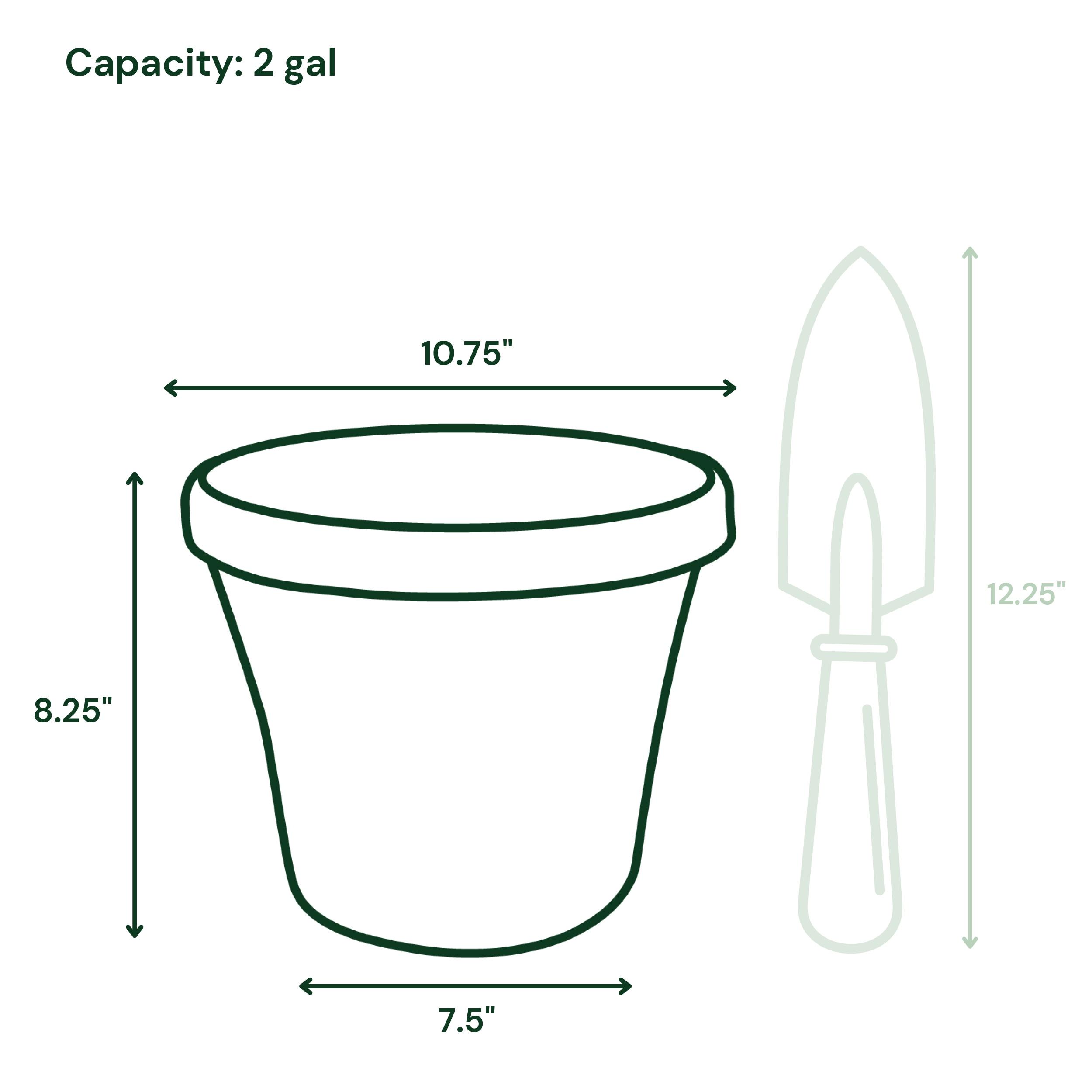 Bloem Terrapot 8.5 in. H X 10.6 in. D Resin Terra Planter Charcoal