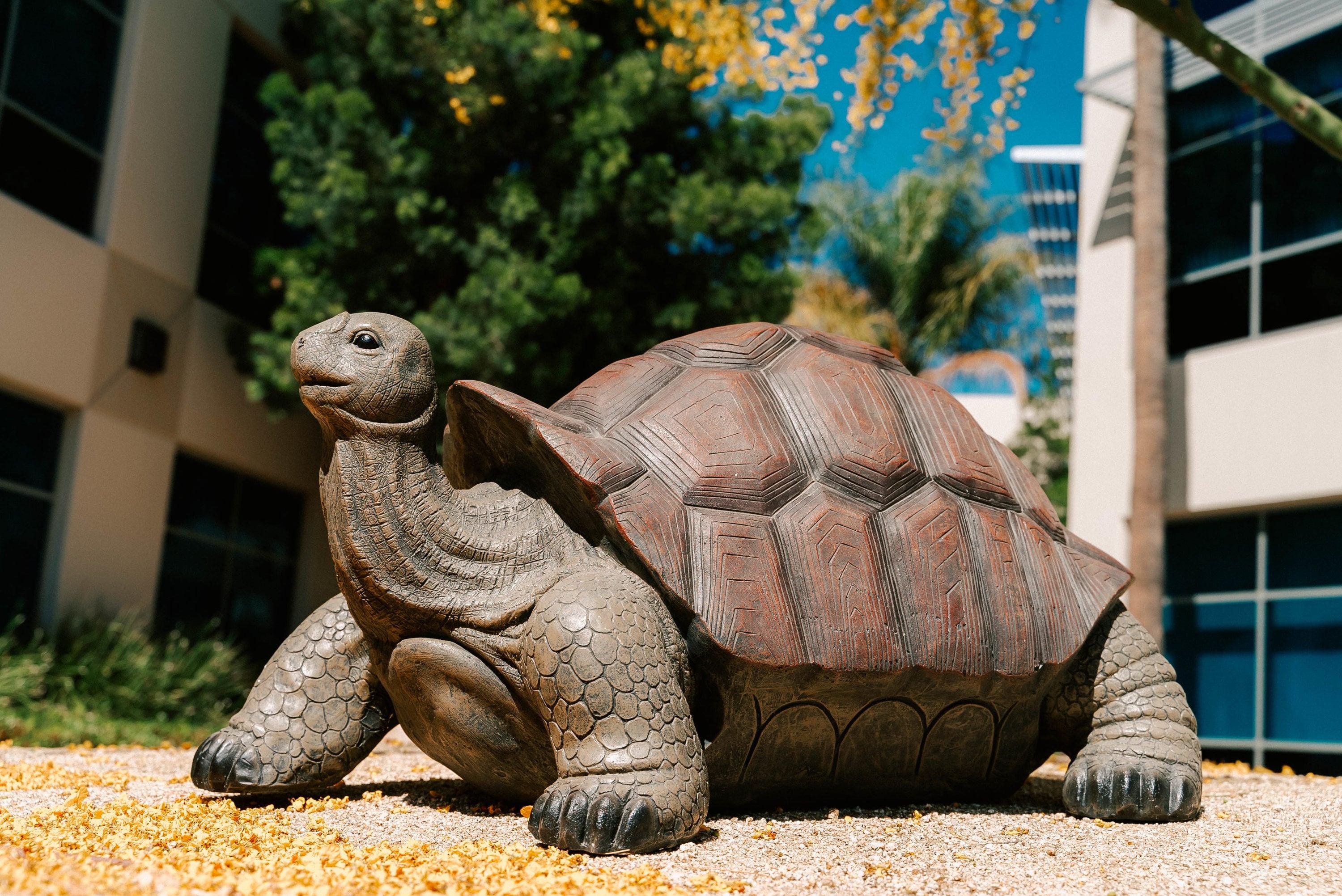 XBrand 28"L Brown and Black Concrete/MgO Walking Tortoise Statue, Indoor or Outdoor Décor, Garden Sculptures, Turtle Garden Statue