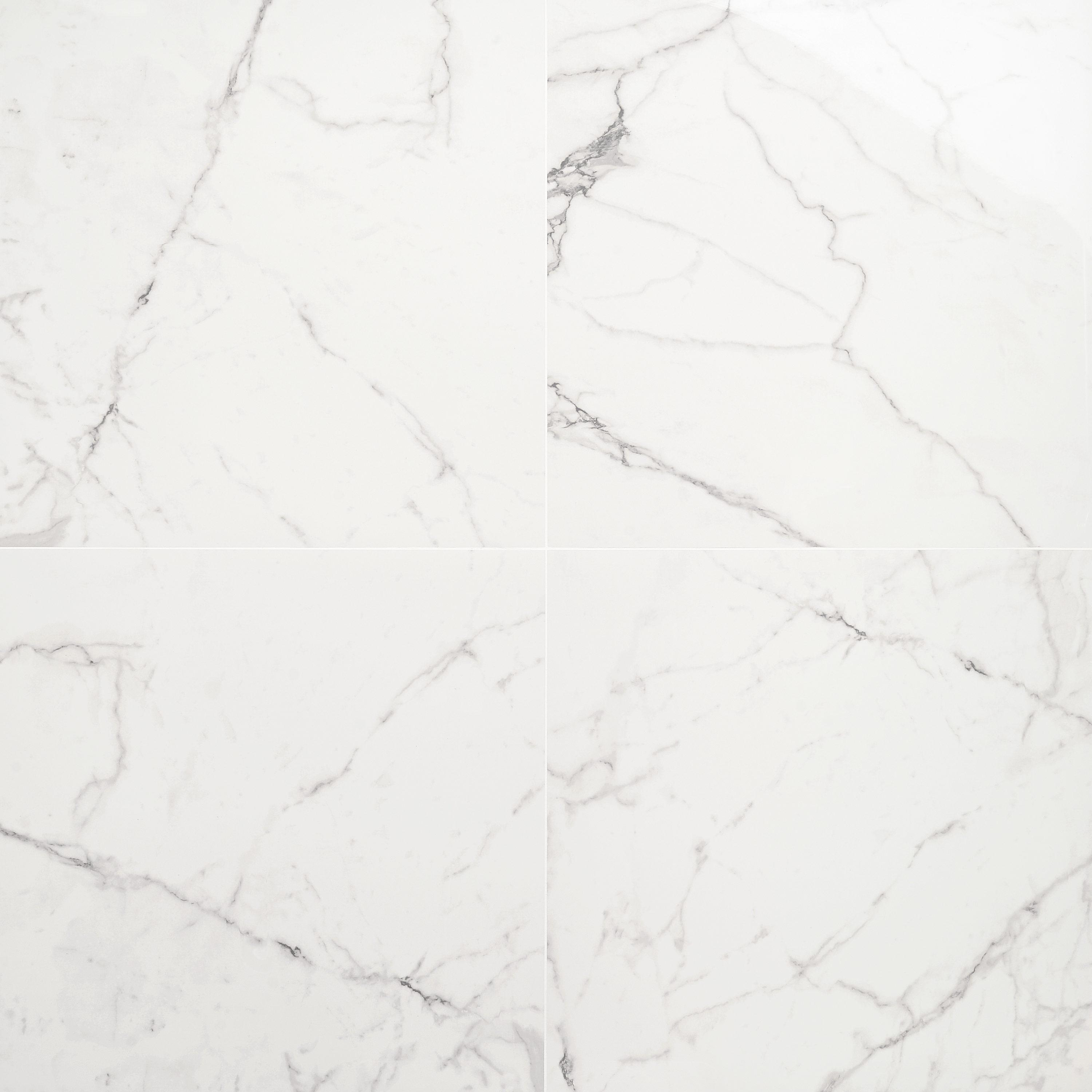 24" x 24" Polished Marble Look Porcelain Floor and Wall Tile (15.5 Sq. Ft. / Case)