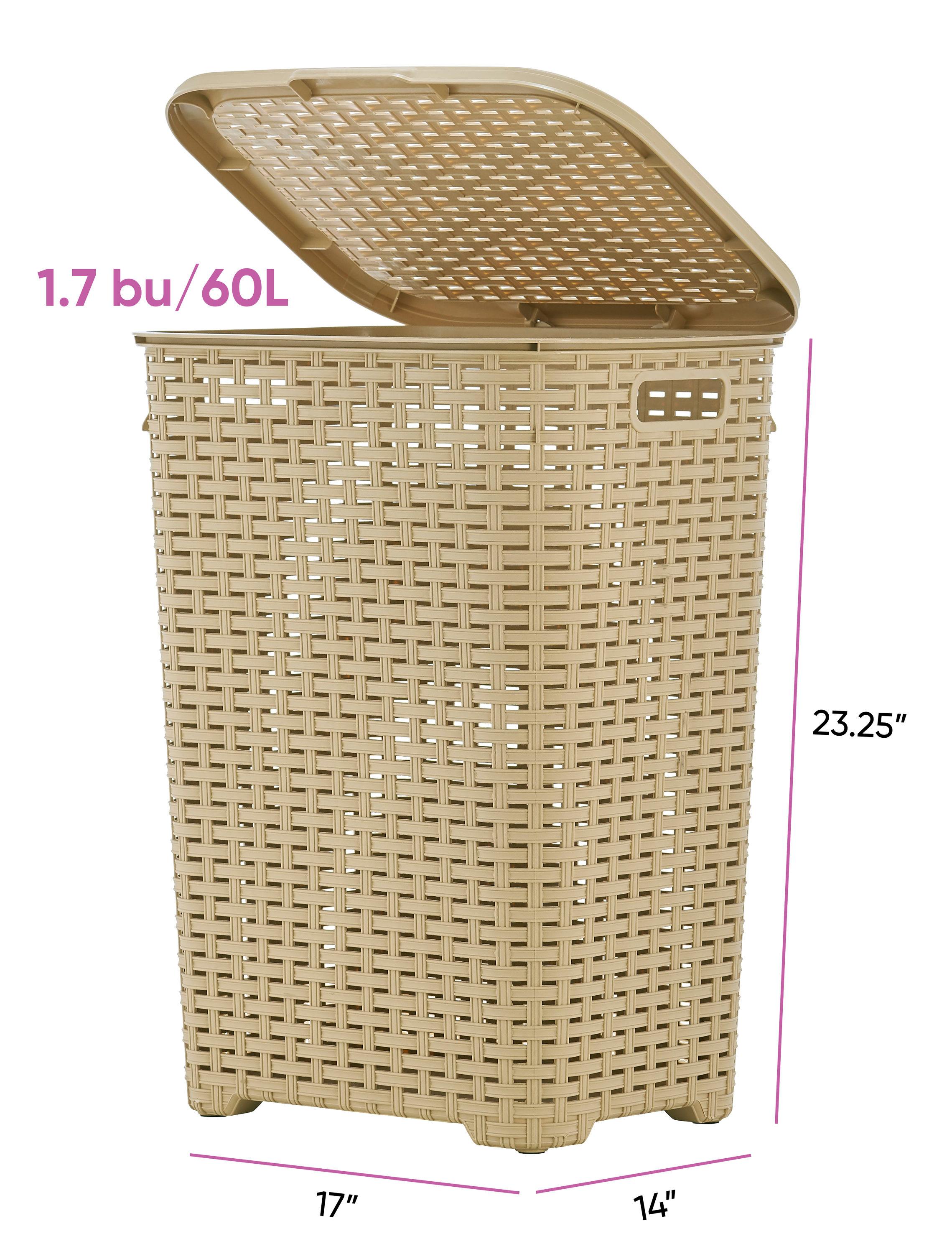 Rebrilliant Plastic Laundry Hamper with Handles