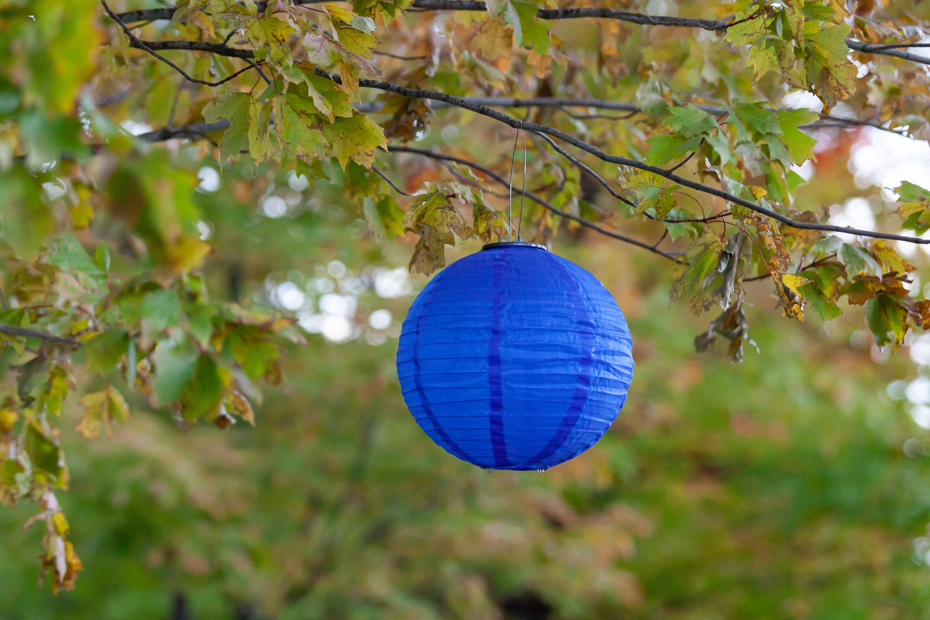 Allsop Home & Garden  Soji Globe Festival Solar Lantern, Cerulean Blue