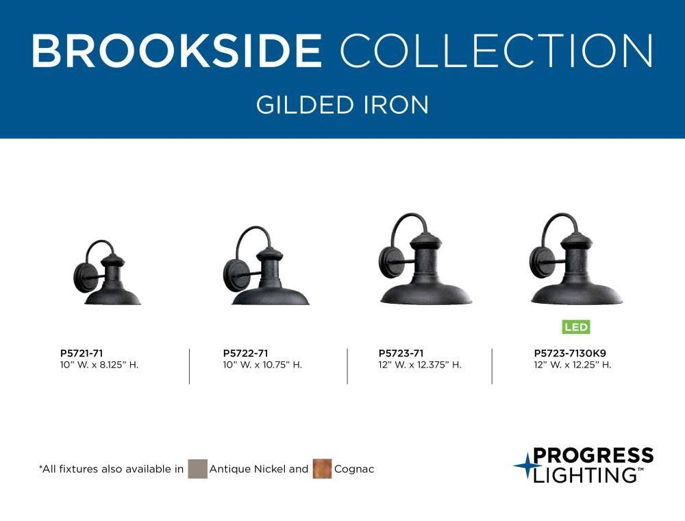 Longshore Tides Zelie Aluminum Wall Light
