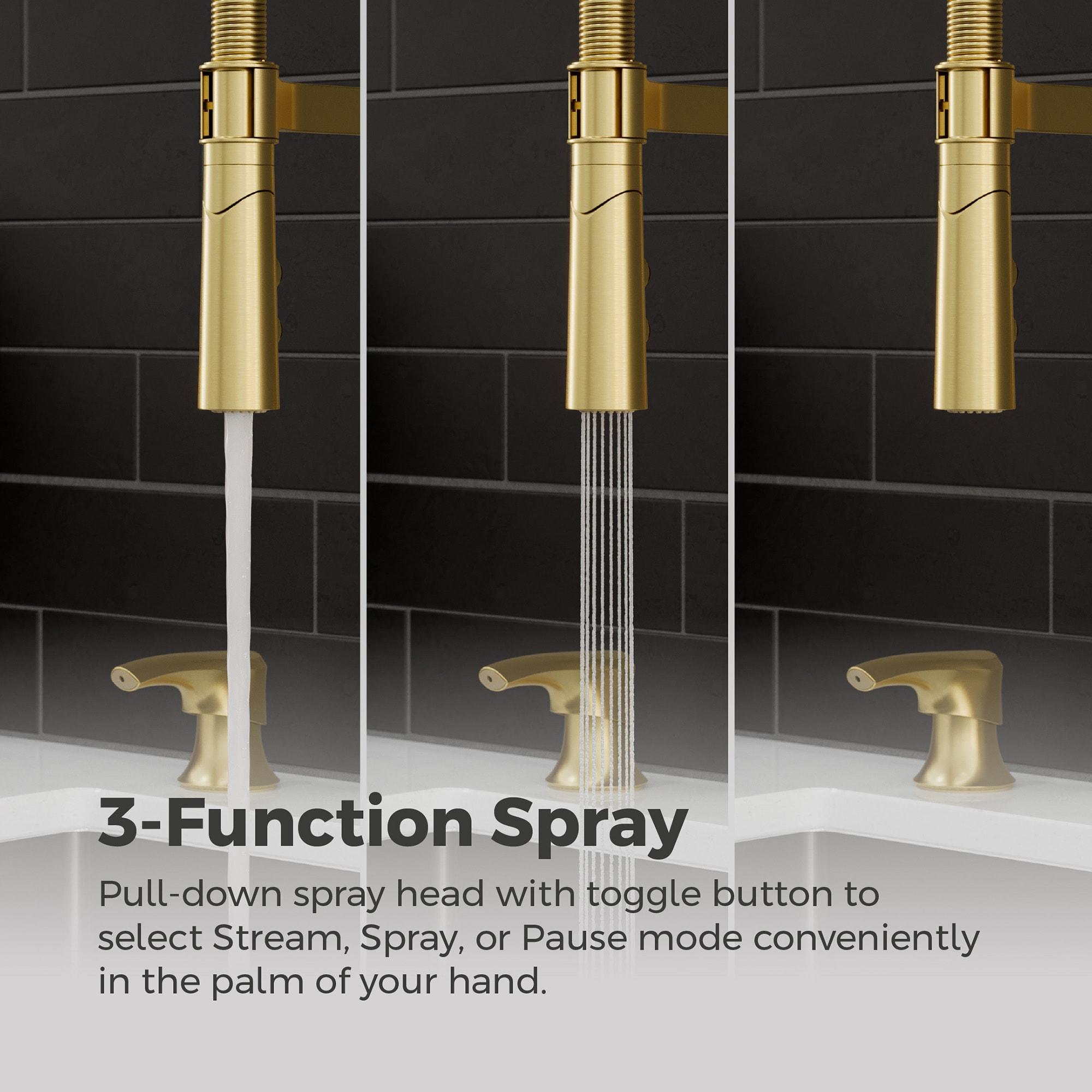 Ceylon Single Handle Culinary Pull Down Sprayer Kitchen Faucet in Brushed Gold