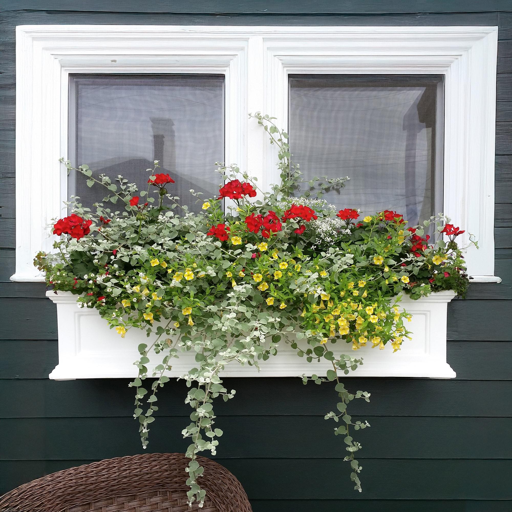 Mayne Inc. Anastasiya Resin Window Box Planter with Water Reservoir