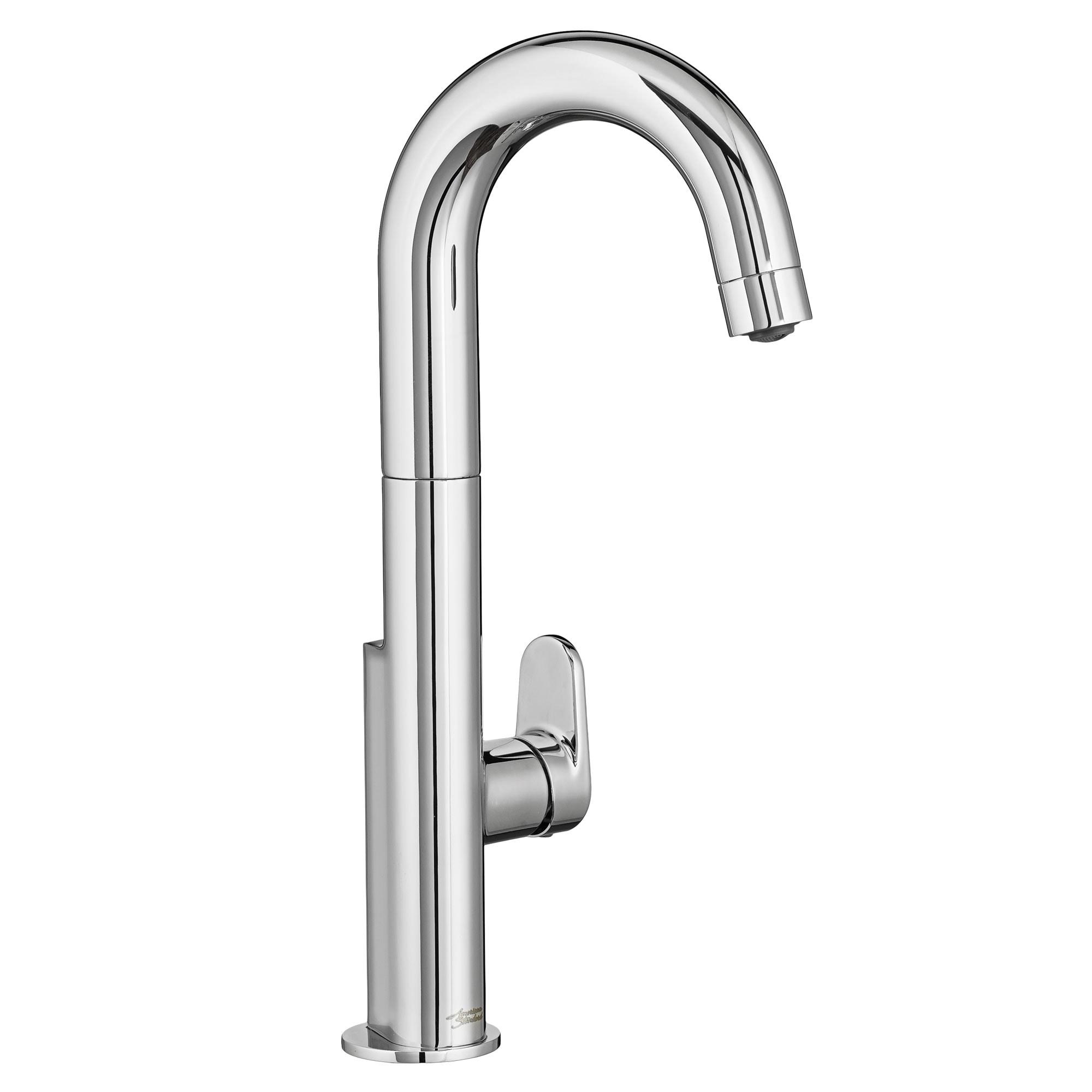 Beale Polished Chrome Single-Handle Pull Down Bar Faucet