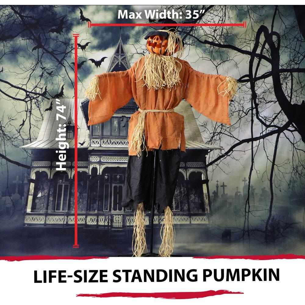 Northlight Seasonal 6' Animated Jack-O'-Lantern Scarecrow Halloween Decoration