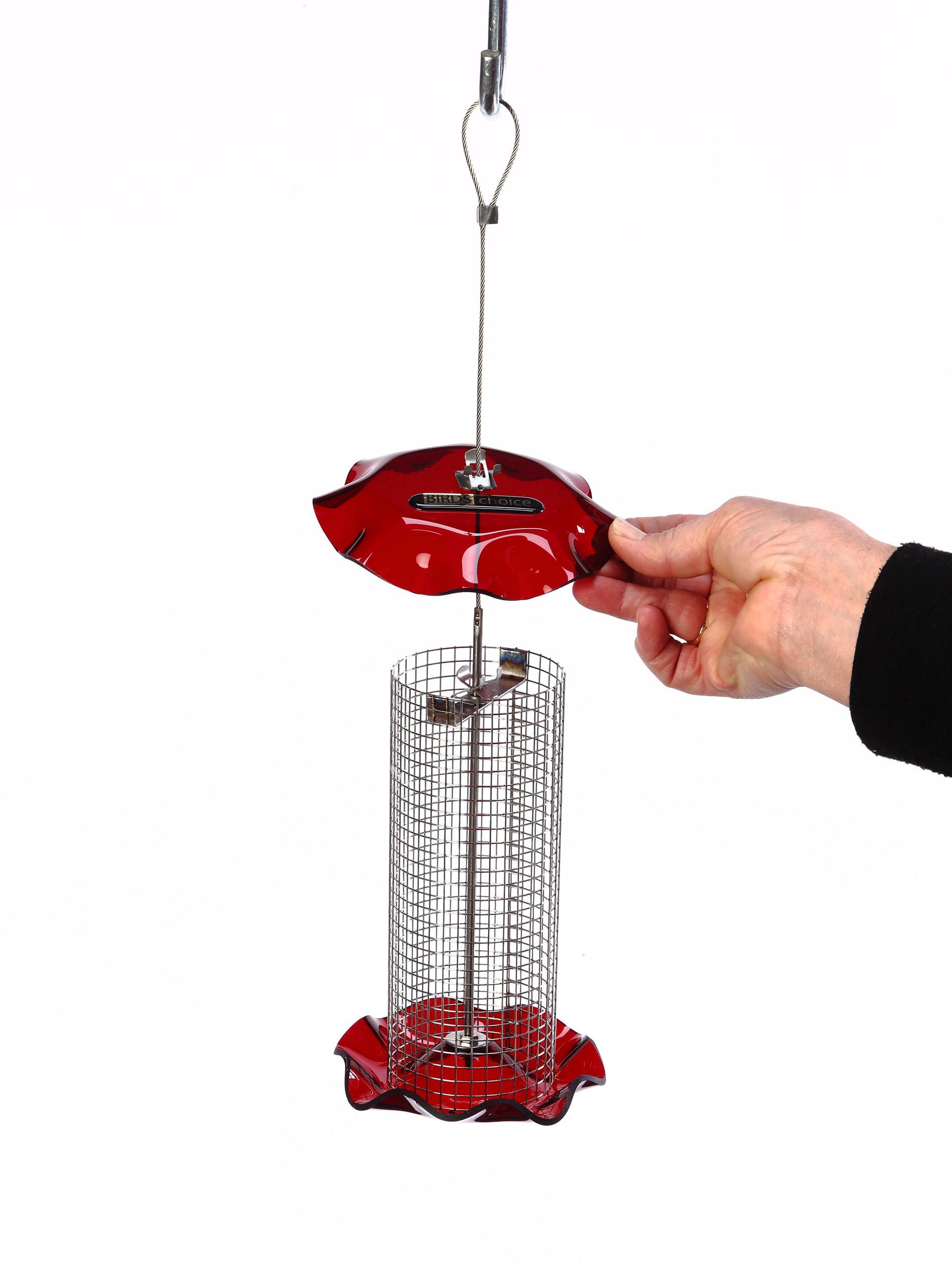 Birds Choice Small Sunflower Seed Forever Feeder with Stainless Steel Screen