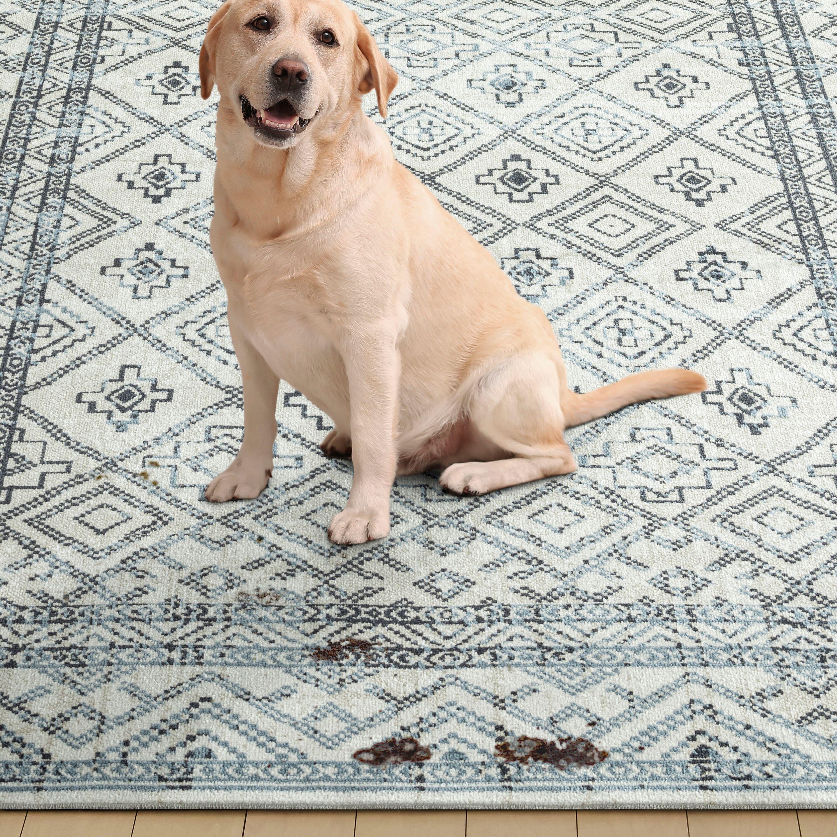 Home Dynamix Everwash Treasure Cambria Southwest Geometric Machine Washable Area Rug, Beige/Navy Blue, 5'2"x7'2"