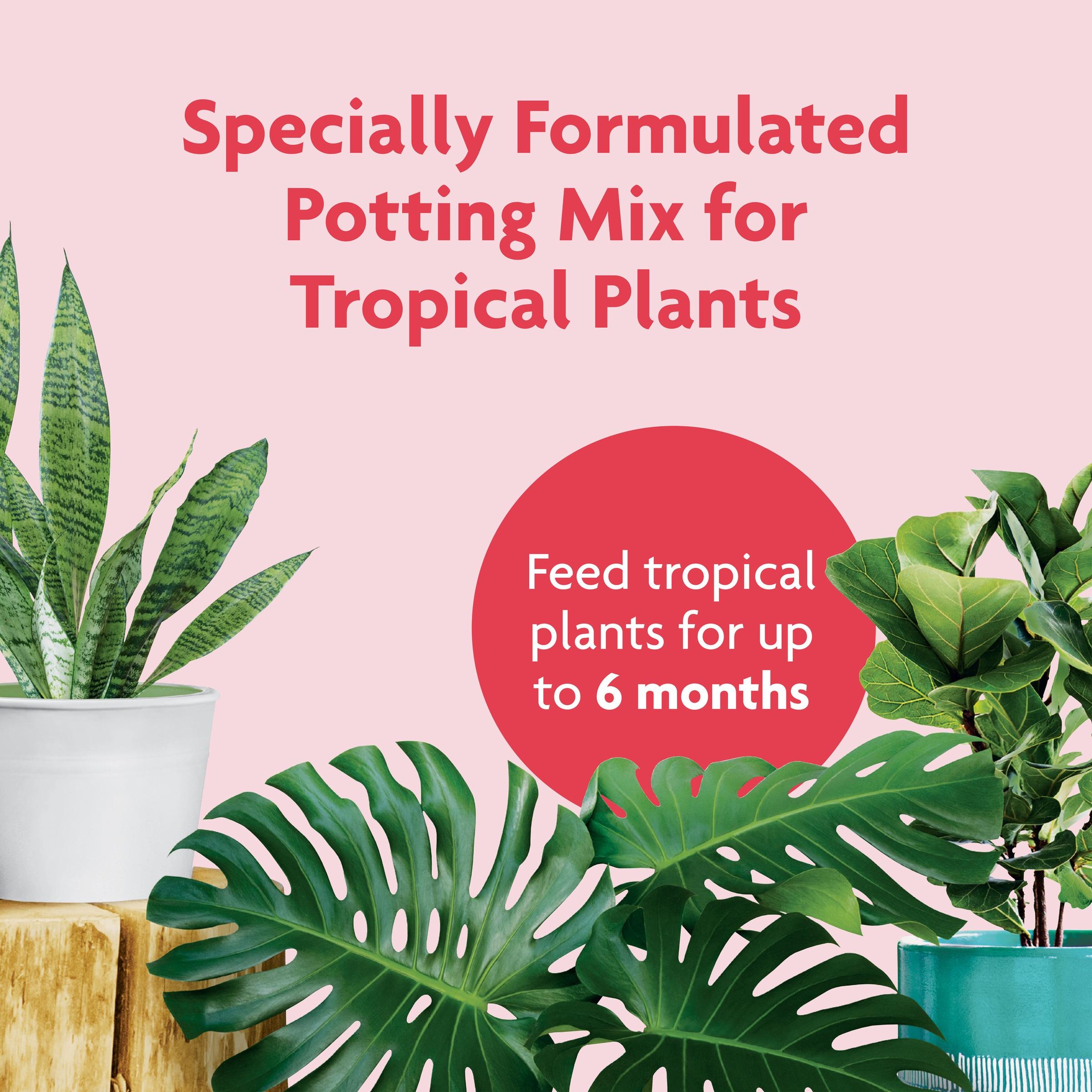 Miracle-Gro Tropical Potting Mix, 6 qt. - Growing Media