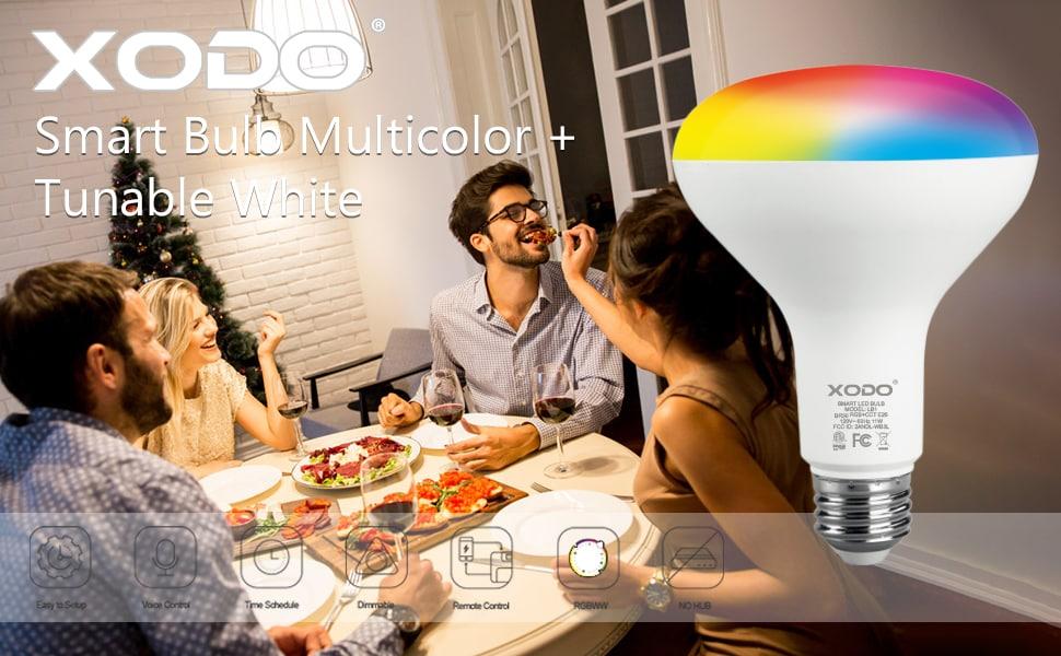 75 Watt Equivalent BR30 E26/Medium (Standard) Dimmable LED Smart Bulb