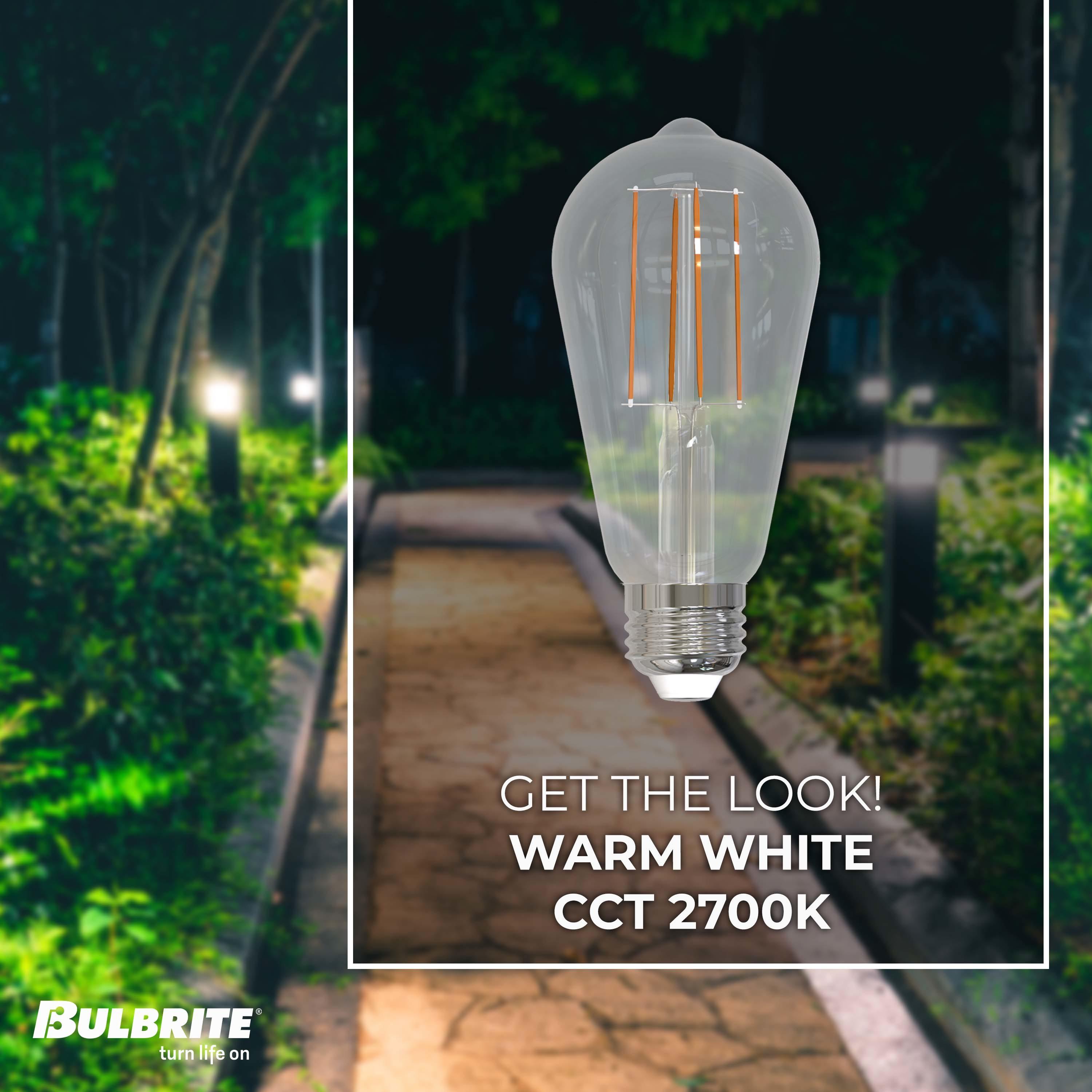 7 Watt (60 Watt Equivalent), ST18 LED, Dimmable Light Bulb, Cool White E26/Medium (Standard) Base. (Set of 8))