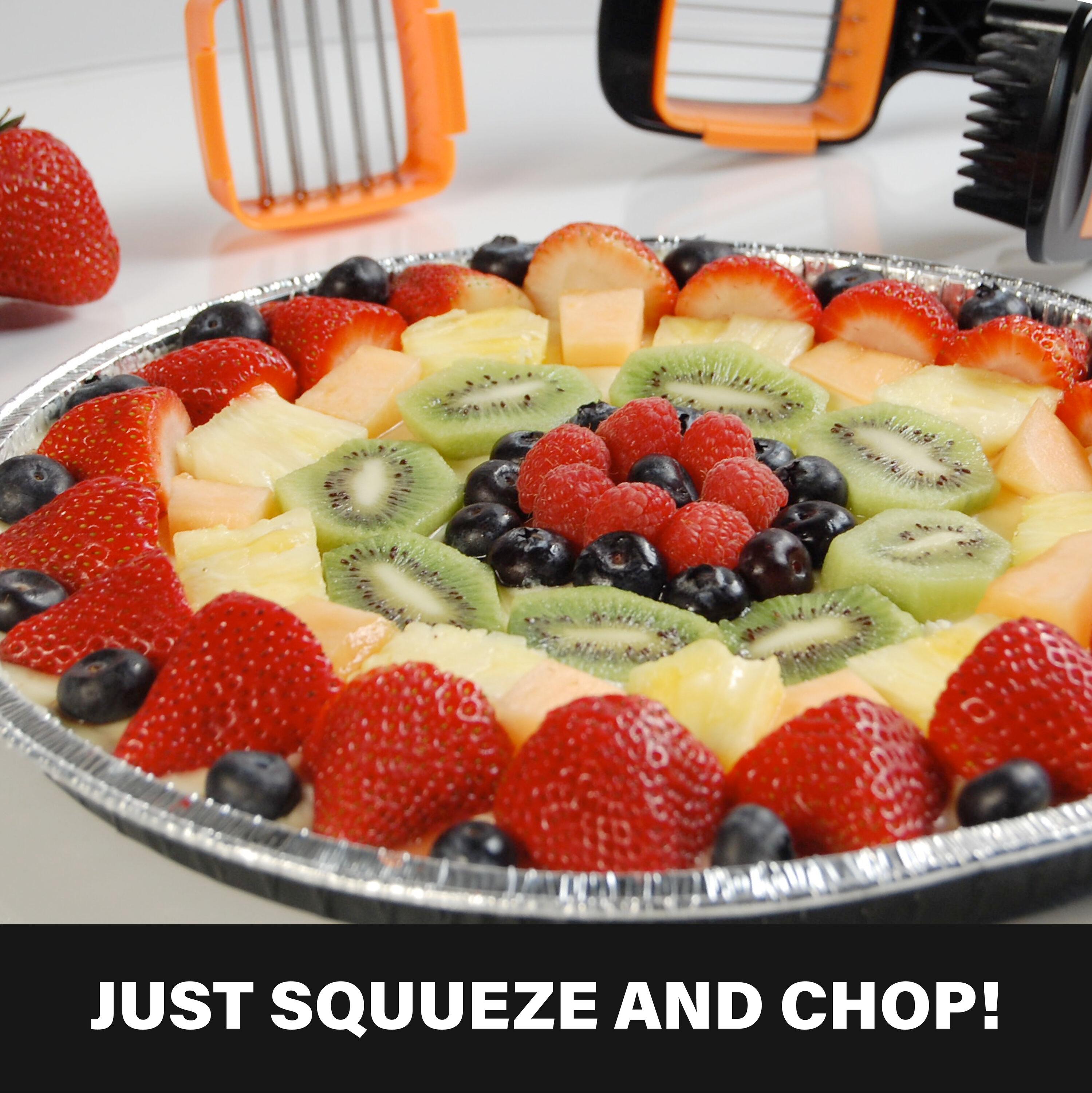 NutriChopper Black Handheld Vegetable and Fruit Chopper with 4 Stainless Steel Blades & Catch Container