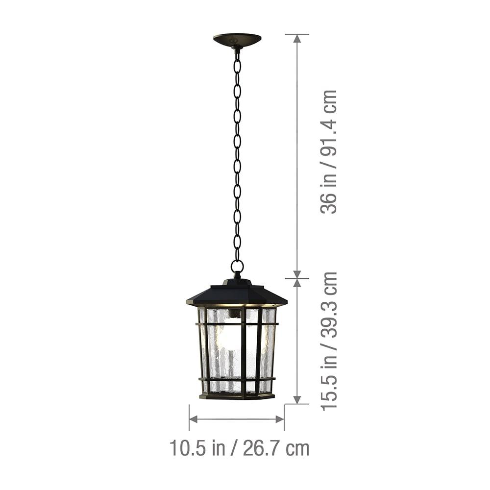 Williams 1- Light Black 14" H Glass Outdoor Hanging Lantern (Bulb Included)