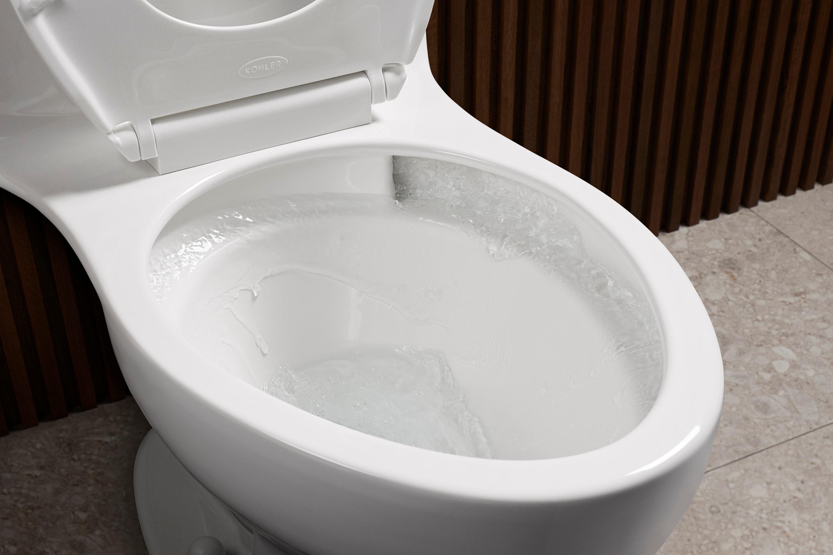 Santa Rosa One-Piece Compact Elongated 1.6 Gpf Toilet With Revolution 360 Swirl Flushing Technology