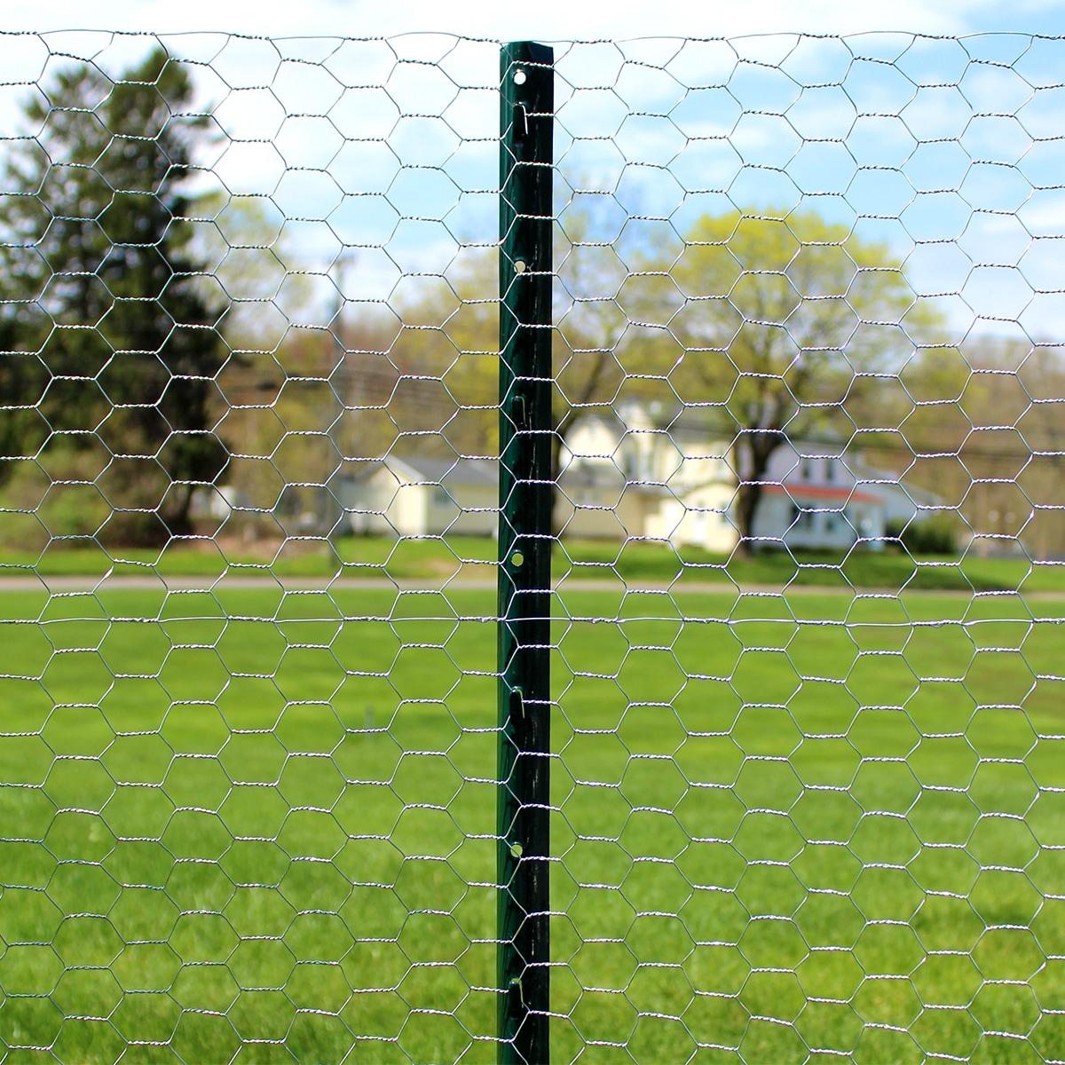 Garden Zone 50 ft. X 48 in. Galvanized Steel Poultry Netting