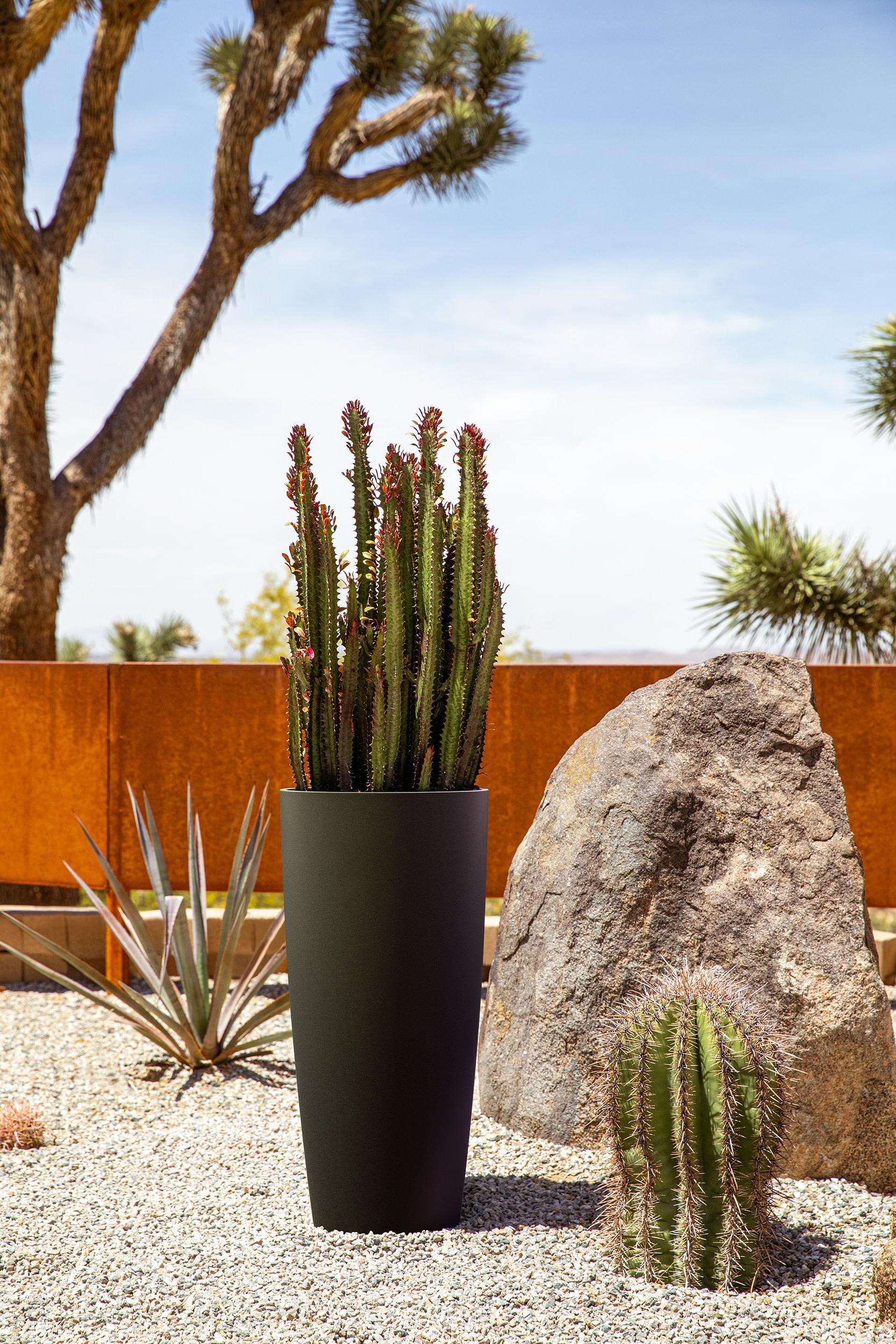 Mason Series Selena Planter