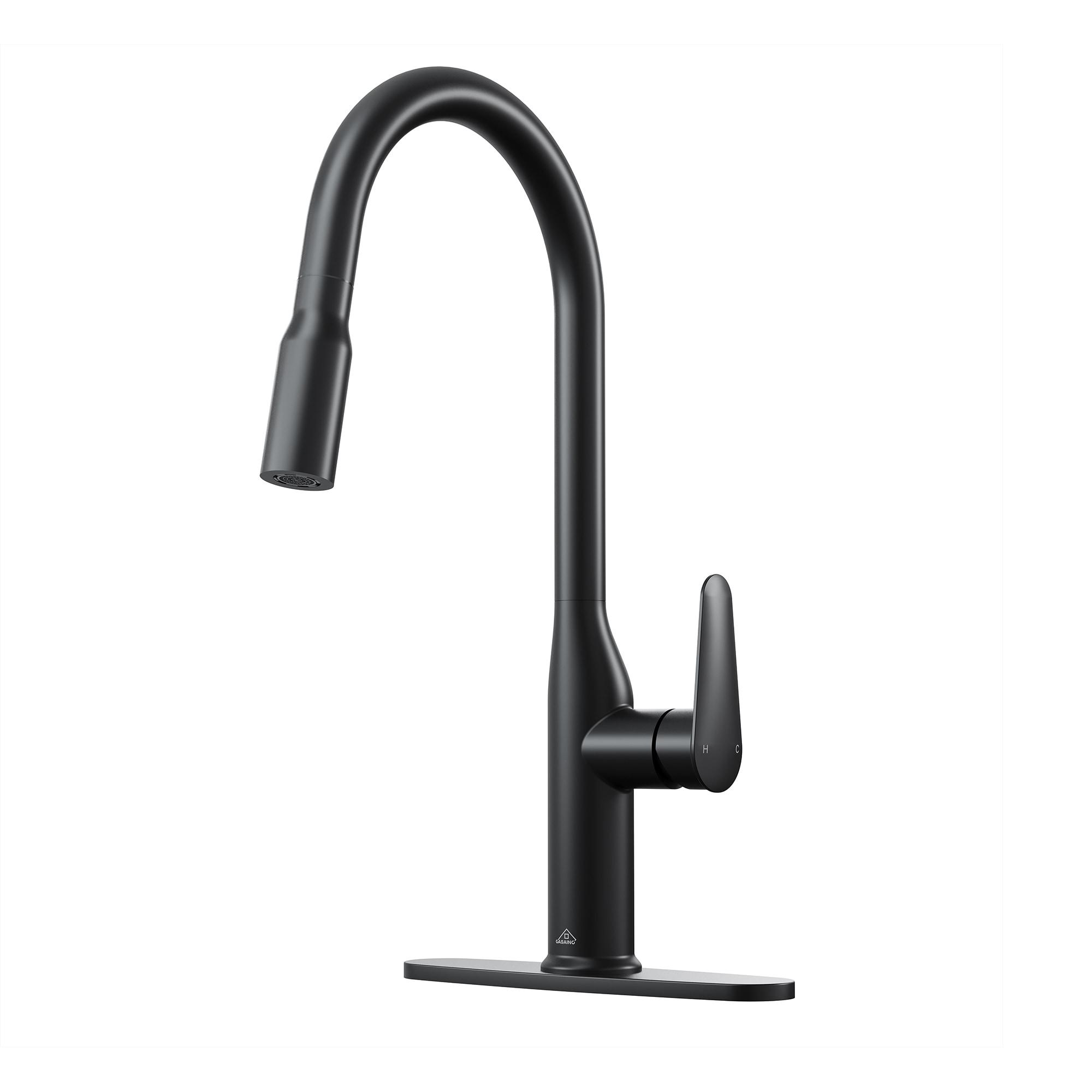 CASAINC Single-Handle Pull-Down Kitchen Faucet Single Hole Faucet