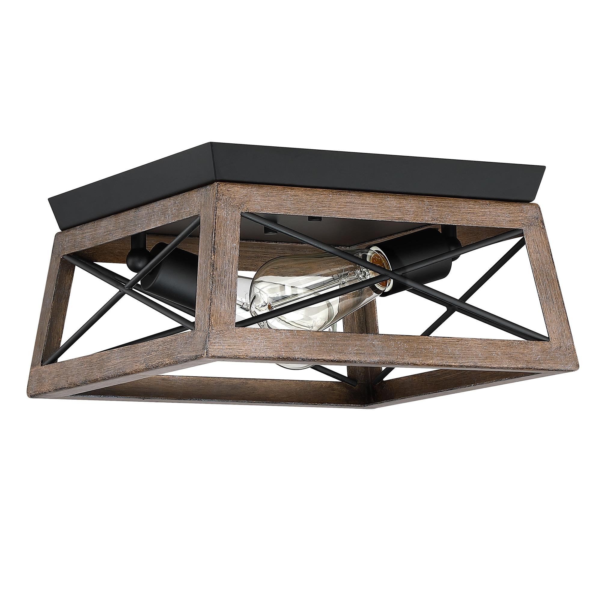 2-Light Finished Cage Classic Modern Dimmable Flush Mount Light