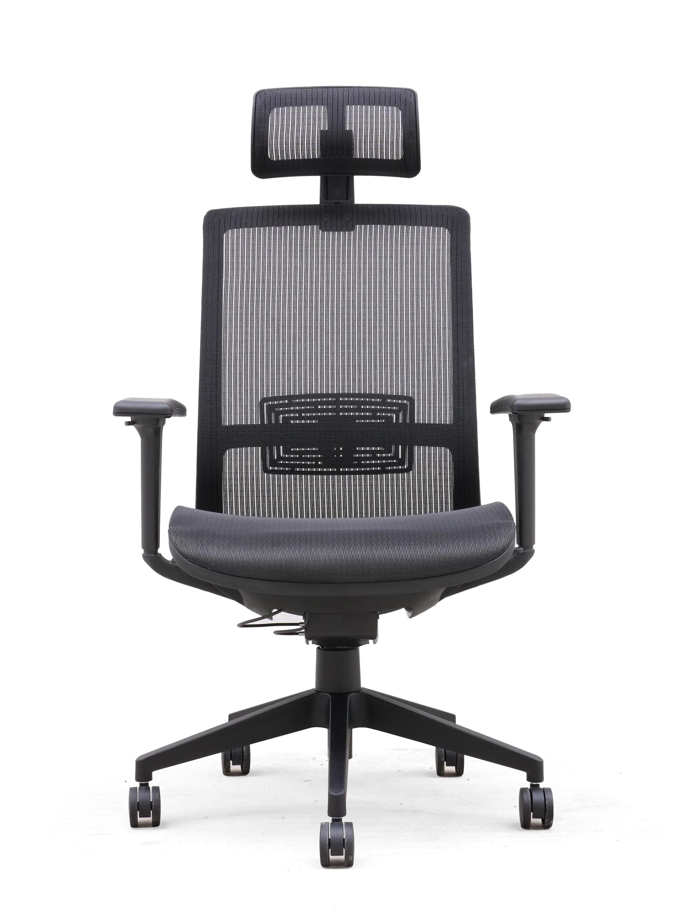 Black Ergonomic Mesh High Back Swivel Task Chair with Adjustable Arms