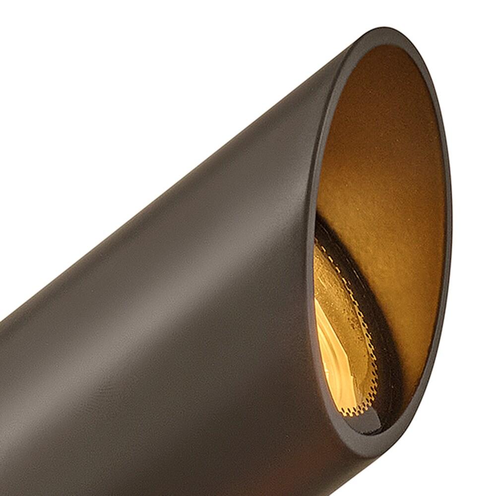 Bronze Low Voltage LED Outdoor Spot Light with Clear Lens