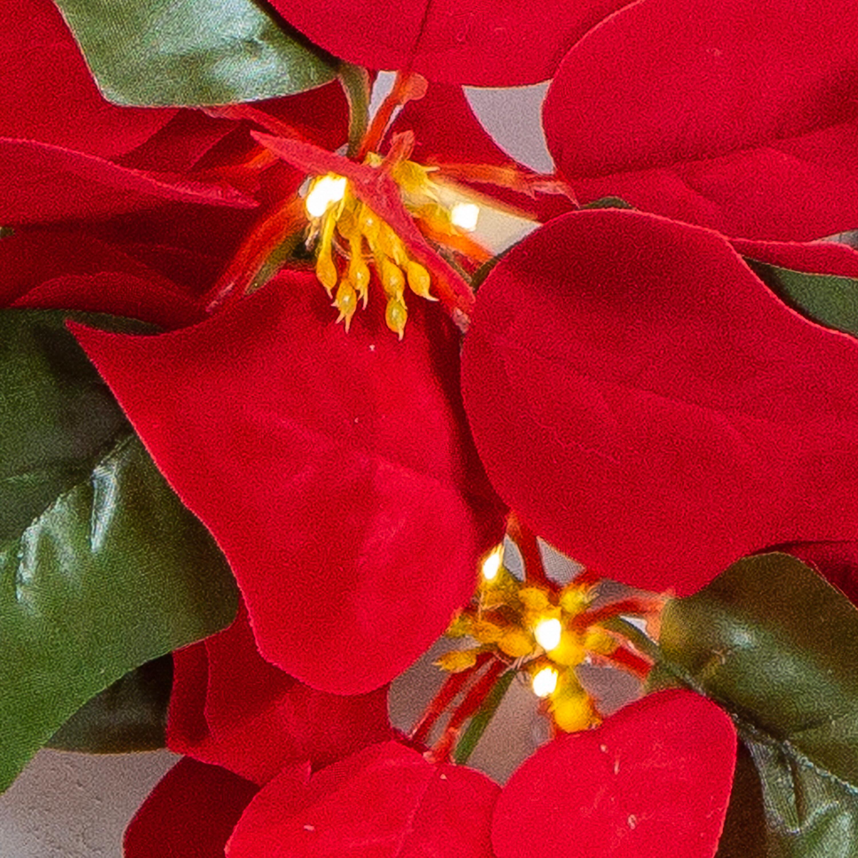 Gerson 24-Inch Diameter Battery Operated Lighted Poinsettia Wreath with 45 Warm White Micro LED Lights