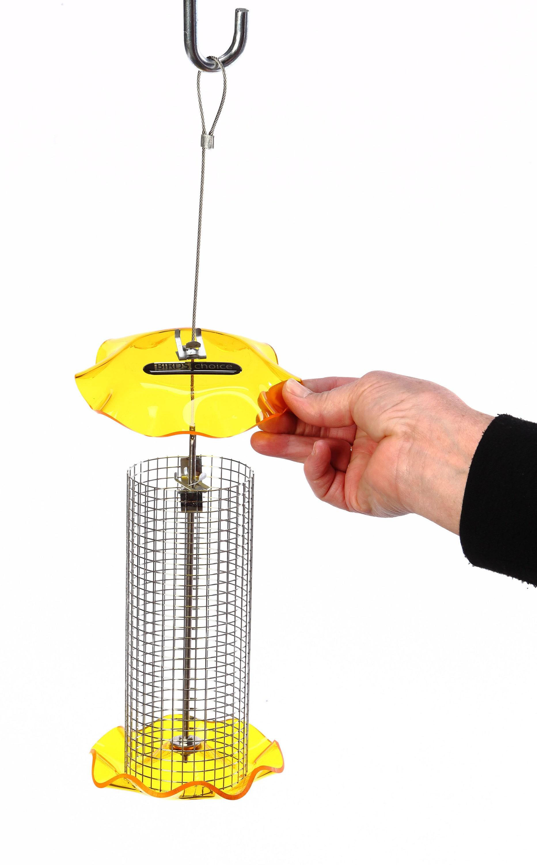 Birds Choice Small Sunflower Seed Forever Feeder with Stainless Steel Screen