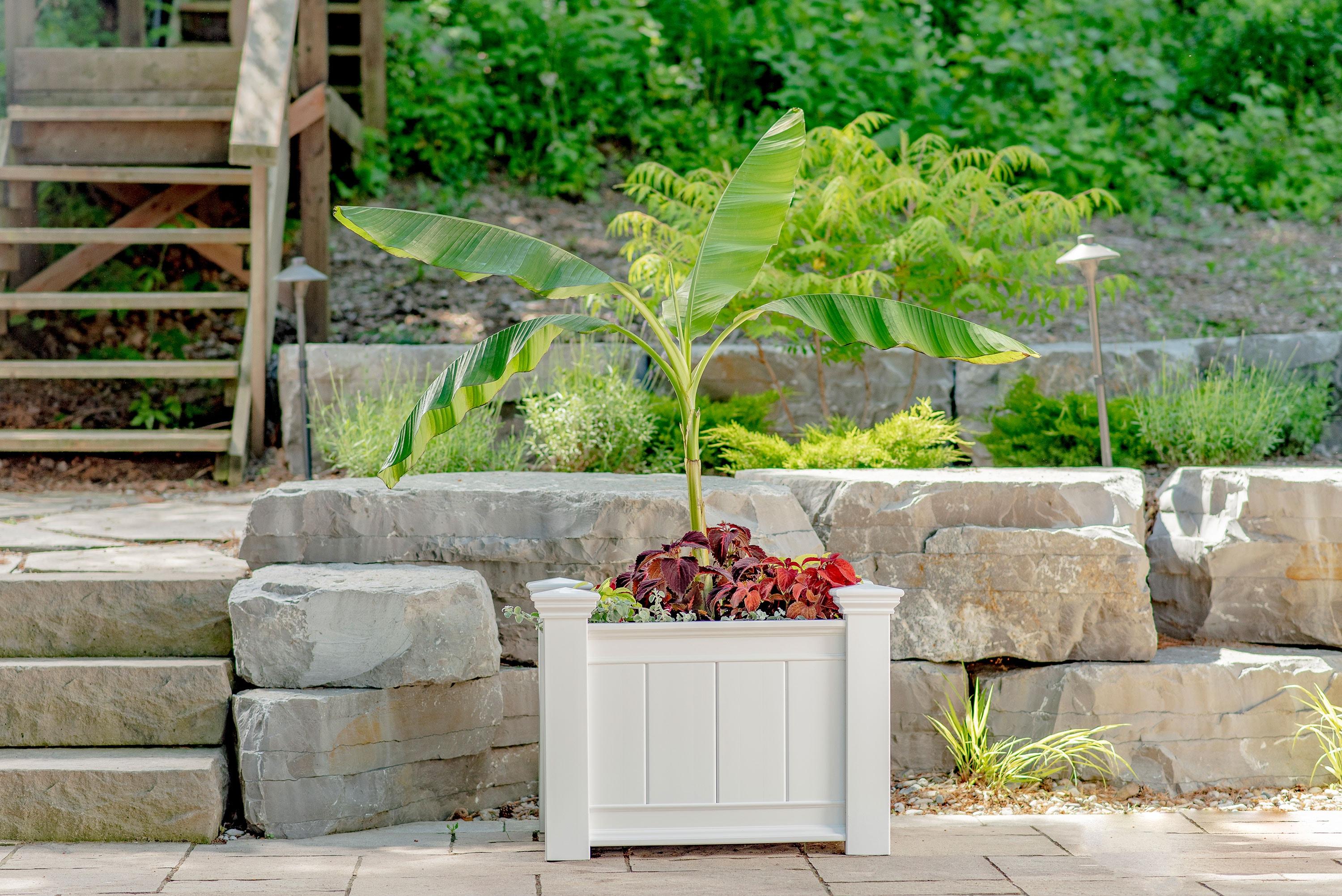 Vita Classic 27" L x 21"W x 22"H Barcelona Vinyl Planter Box, White, VA68210