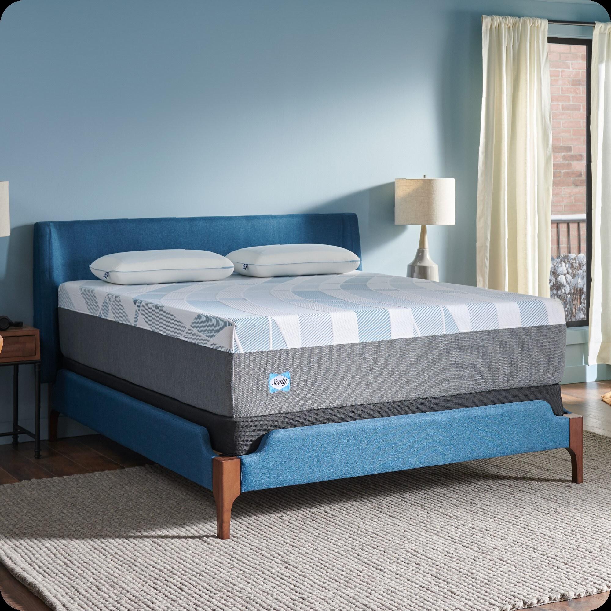 Sealy Dreamlife 14” Plush Foam Mattress-in-a-Box