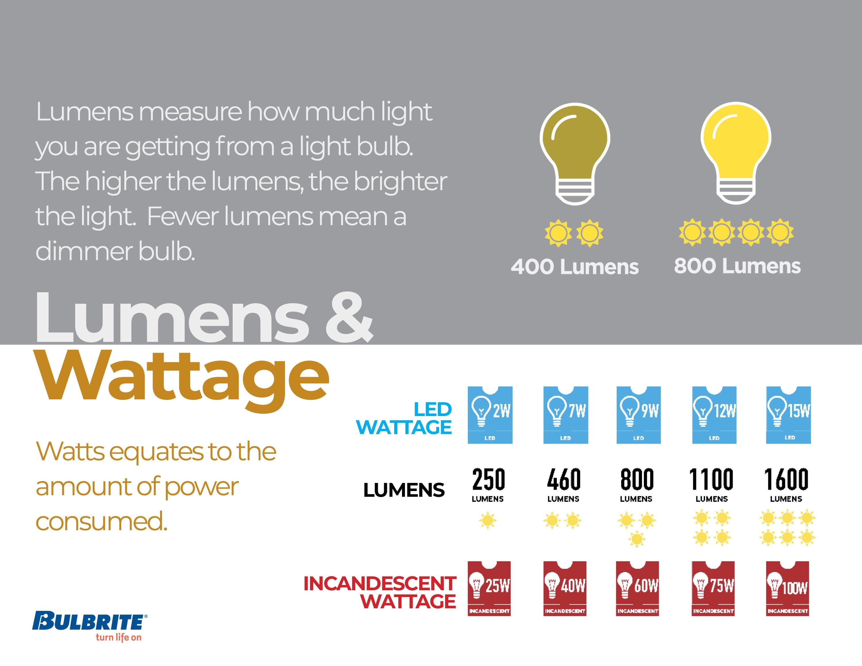 8.5 Watt (60 Watt Equivalent), ST18 LED, Dimmable Light Bulb, Daylight (3000K) E26/Medium (Standard) Base (2 Pack)