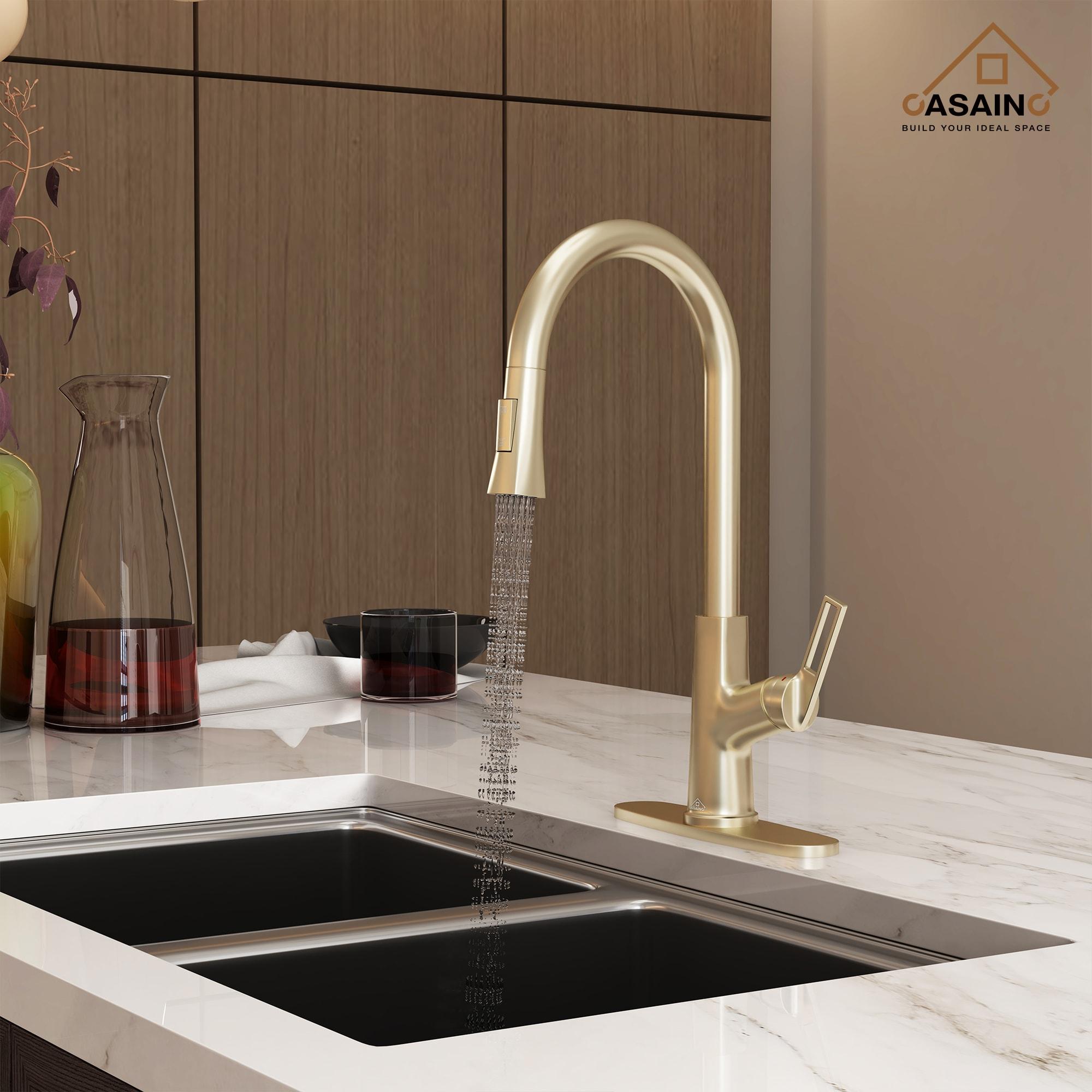 CASAINC CASAINC Single-Handle Pull-Down Kitchen Faucet Single Hole Faucet CA-D4171-BG