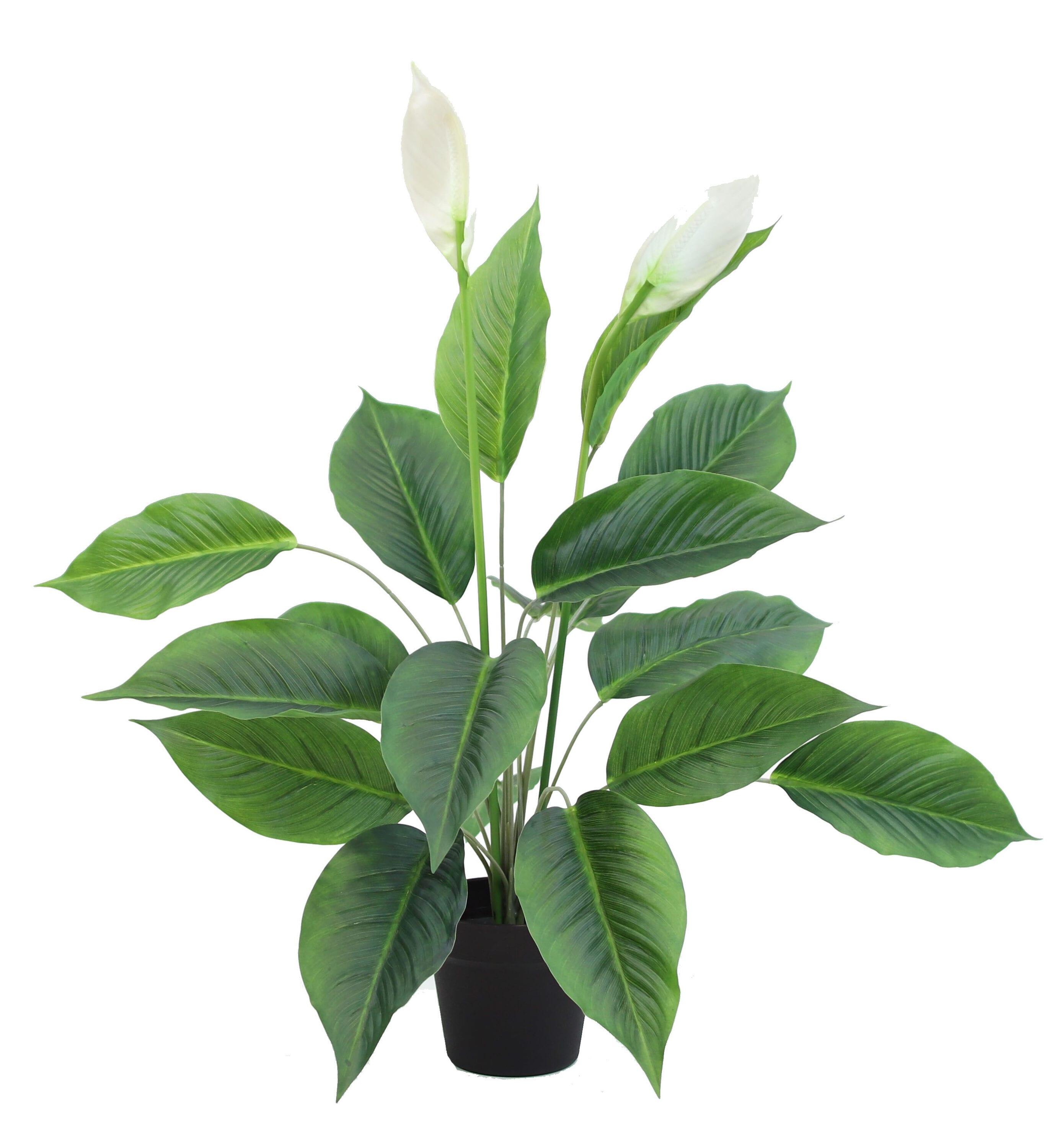 The Mod Greenhouse 29" Artificial Green Spathiphyllum Plant in a Black Matte Planter Pot