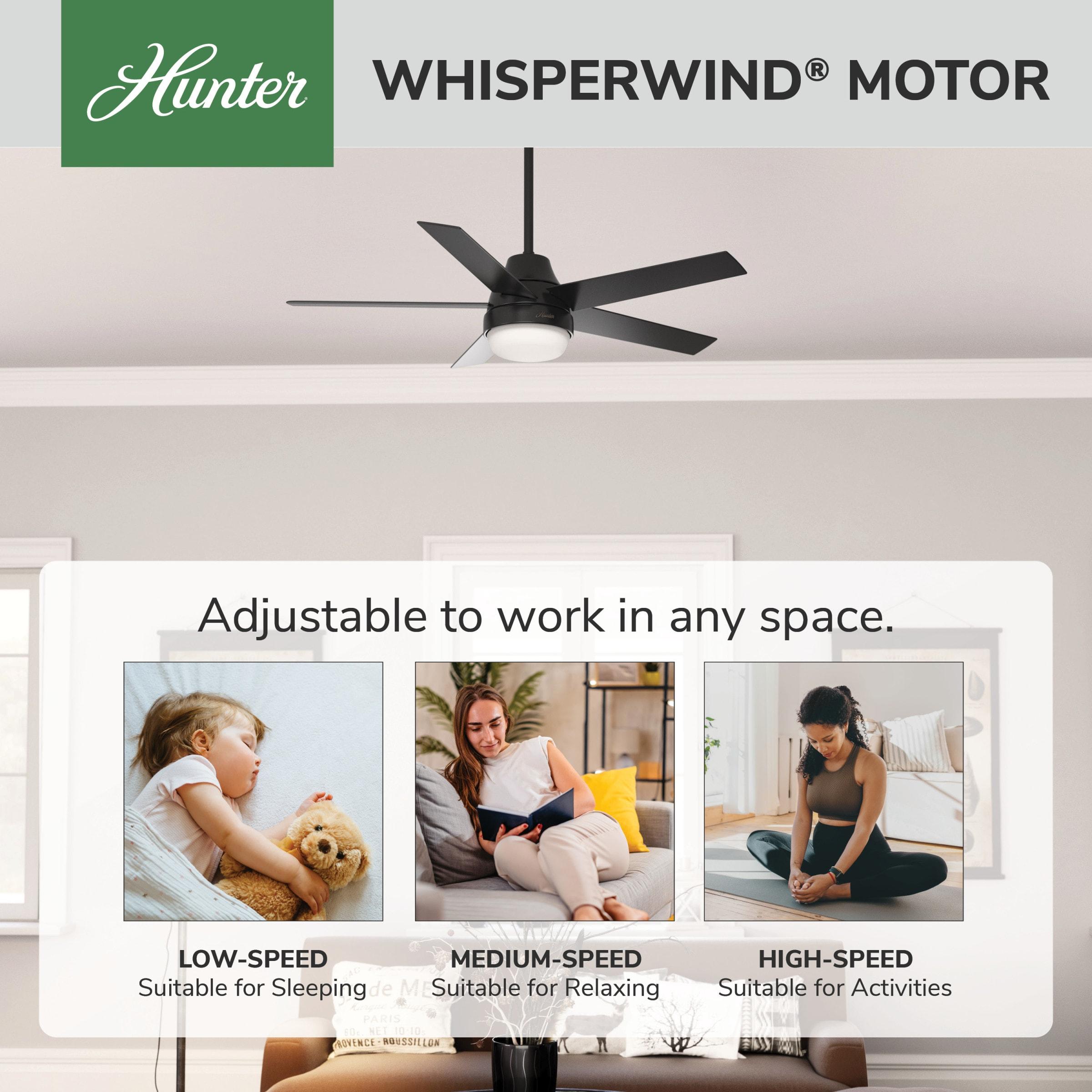 52" Aerodyne 5 - Blade Smart Standard Ceiling Fan with Lights and Remote