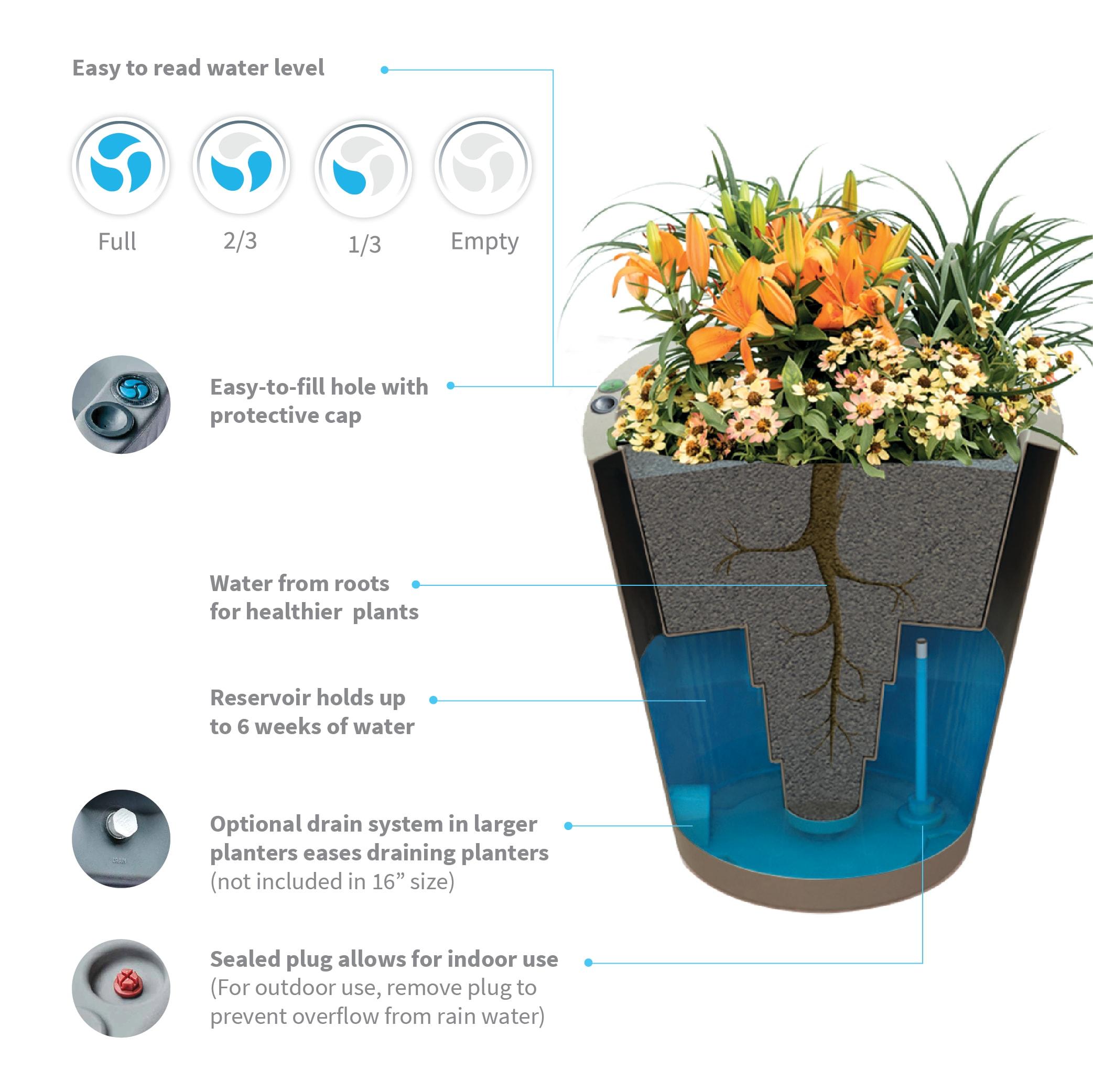 Dot Planter