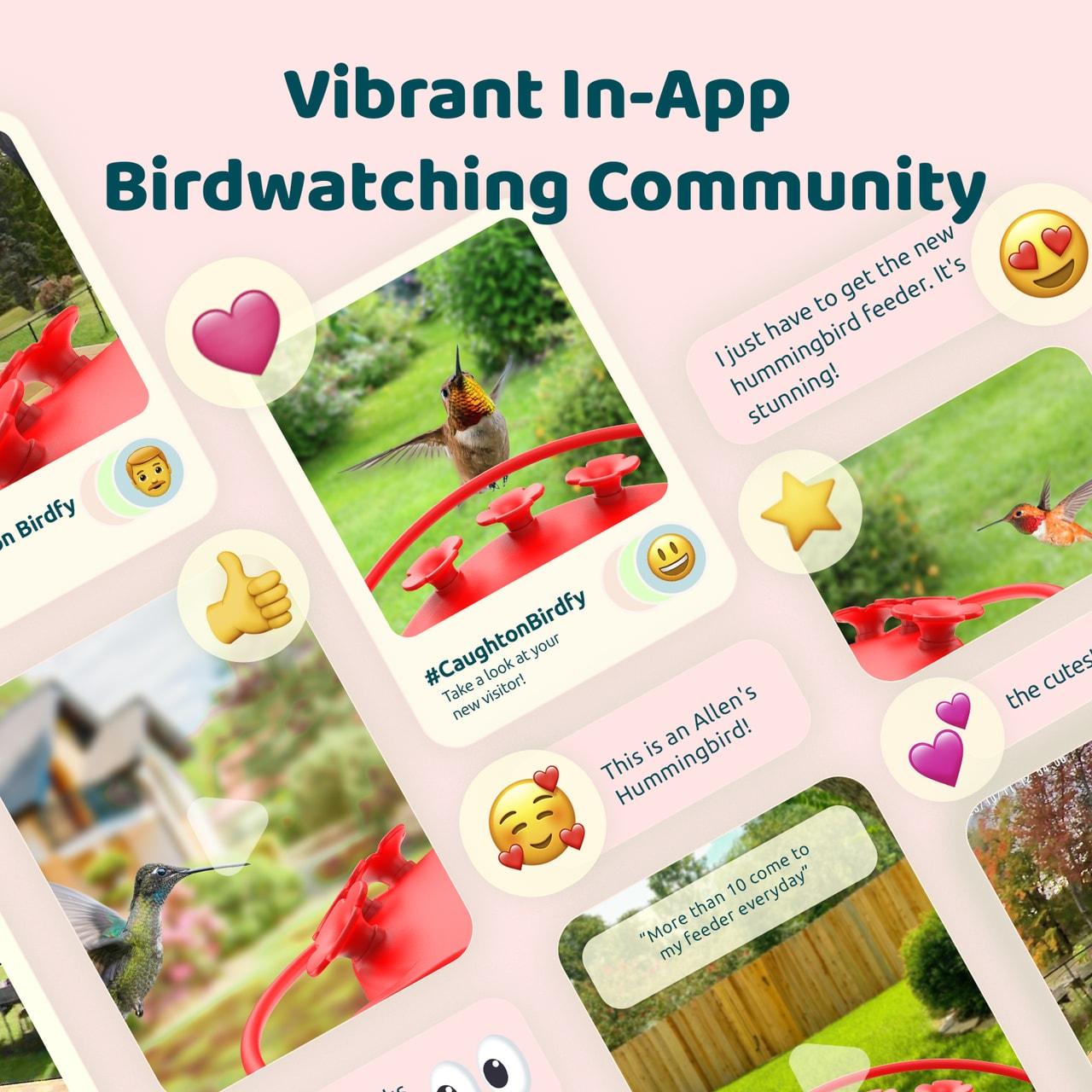 Birdfy NETVUE Birdfy Hummingbird Feeder with 2 Cameras Solar Powered - Dual Smart Cams, 2K HD Wireless for 2 Angels Close-up Bird Watching Outdoor, Instant Notifications (20Oz) (Hum Duo AI Solar)