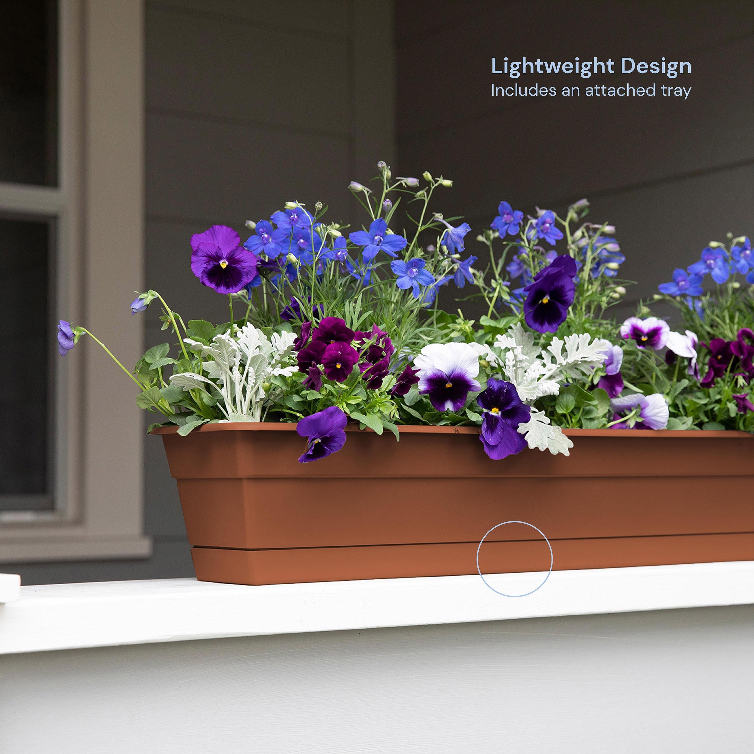 Bloem 24-in Wide Dura Cotta Resin Window Box Planter - Terra Cotta Color